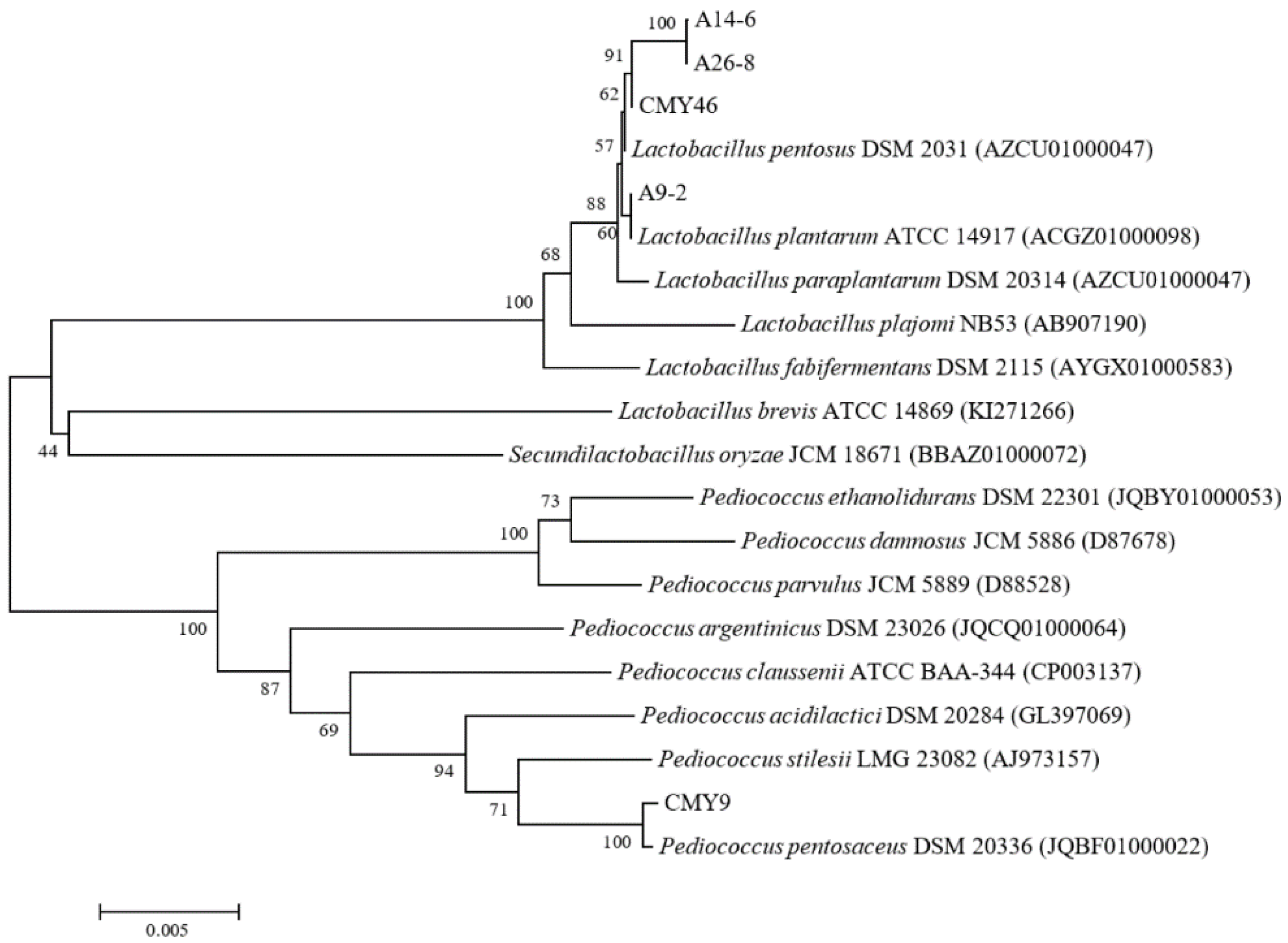 Fermentation 07 00195 g001 550