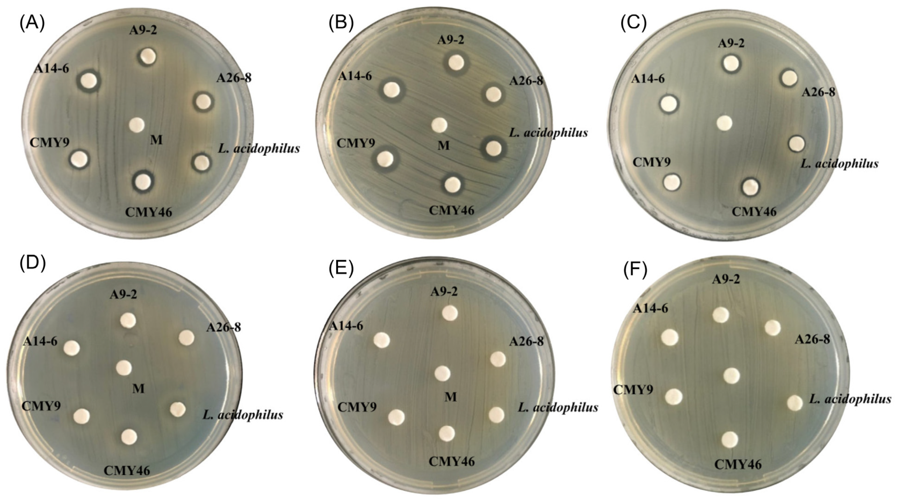 Fermentation 07 00195 g002 550