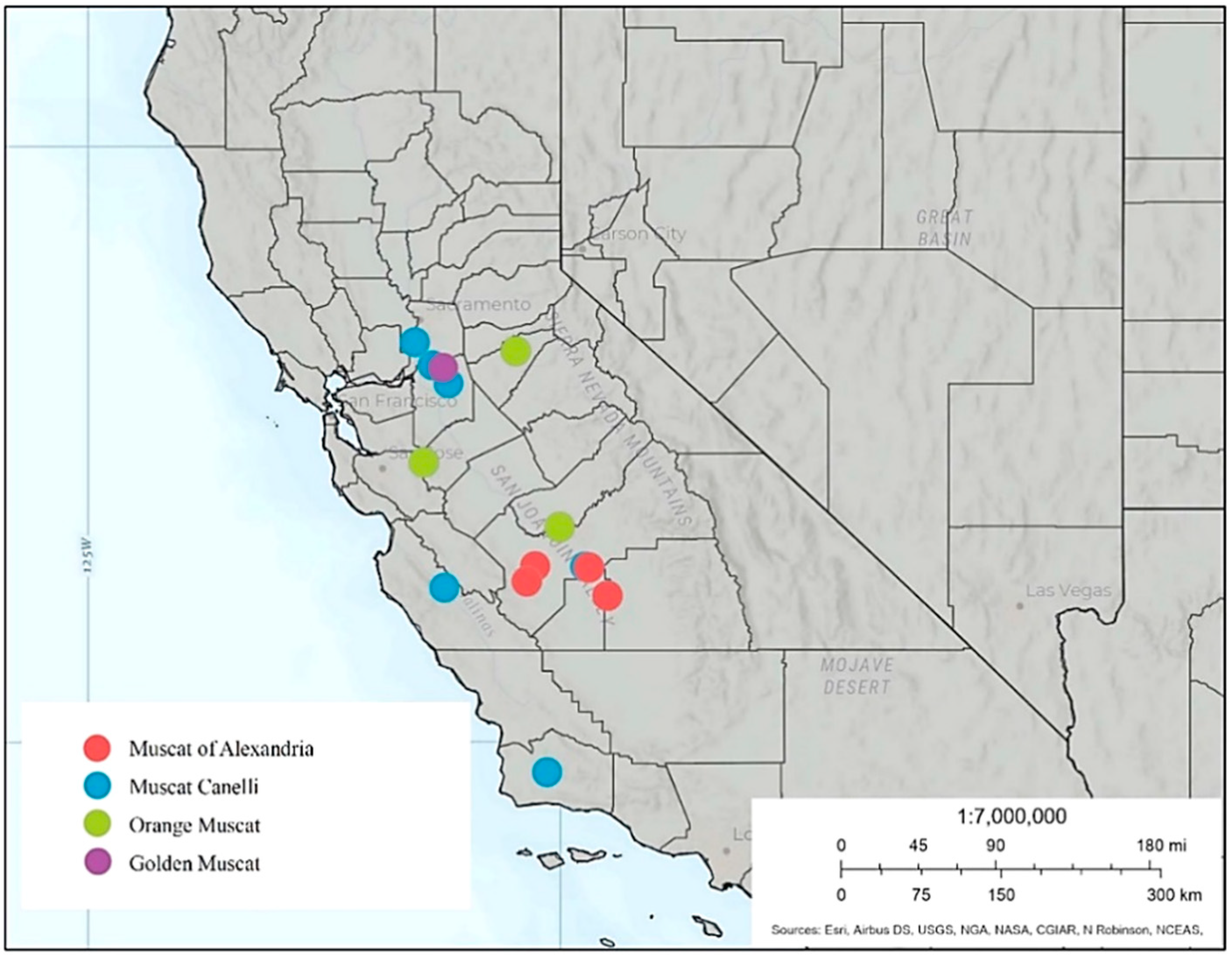 Fermentation 07 00198 g001