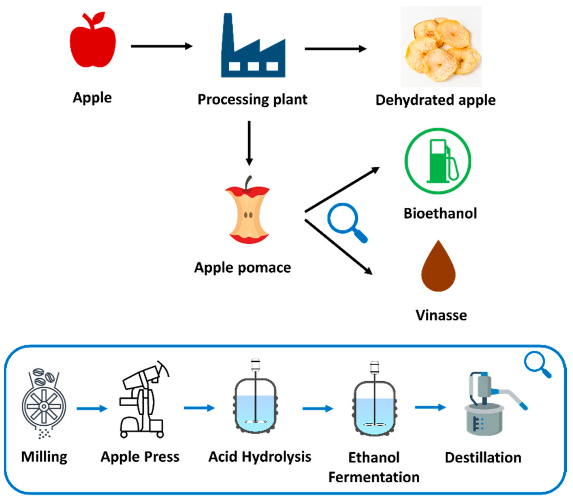 Fermentation, Free Full-Text