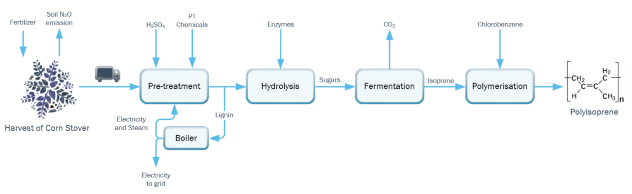 Fermentation 07 00204 g001