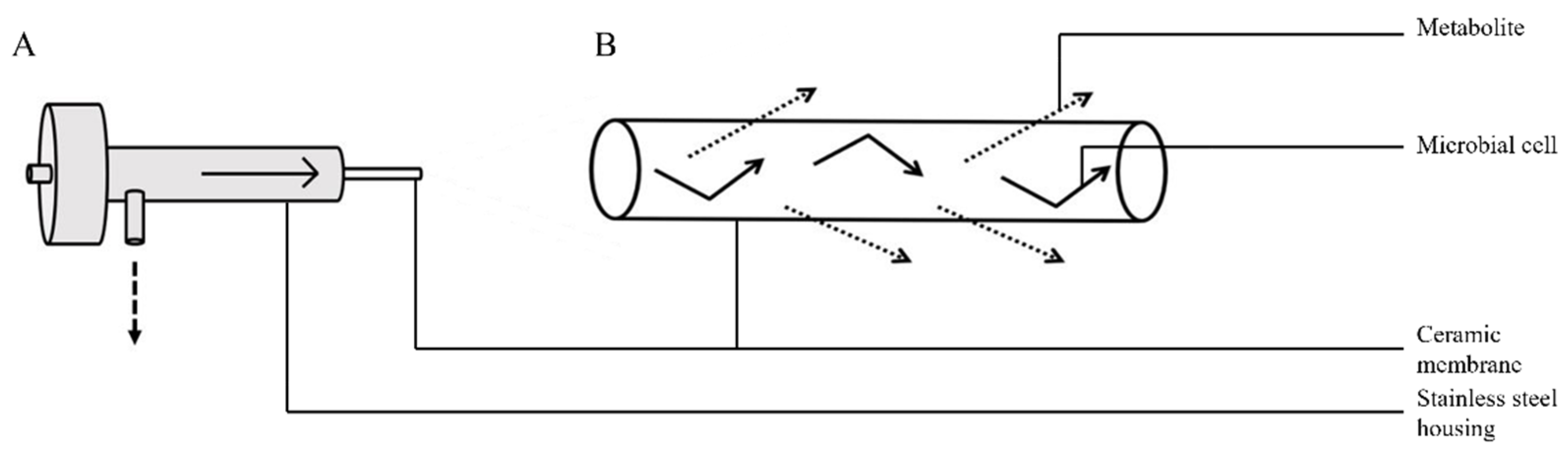 Fermentation 07 00206 g001