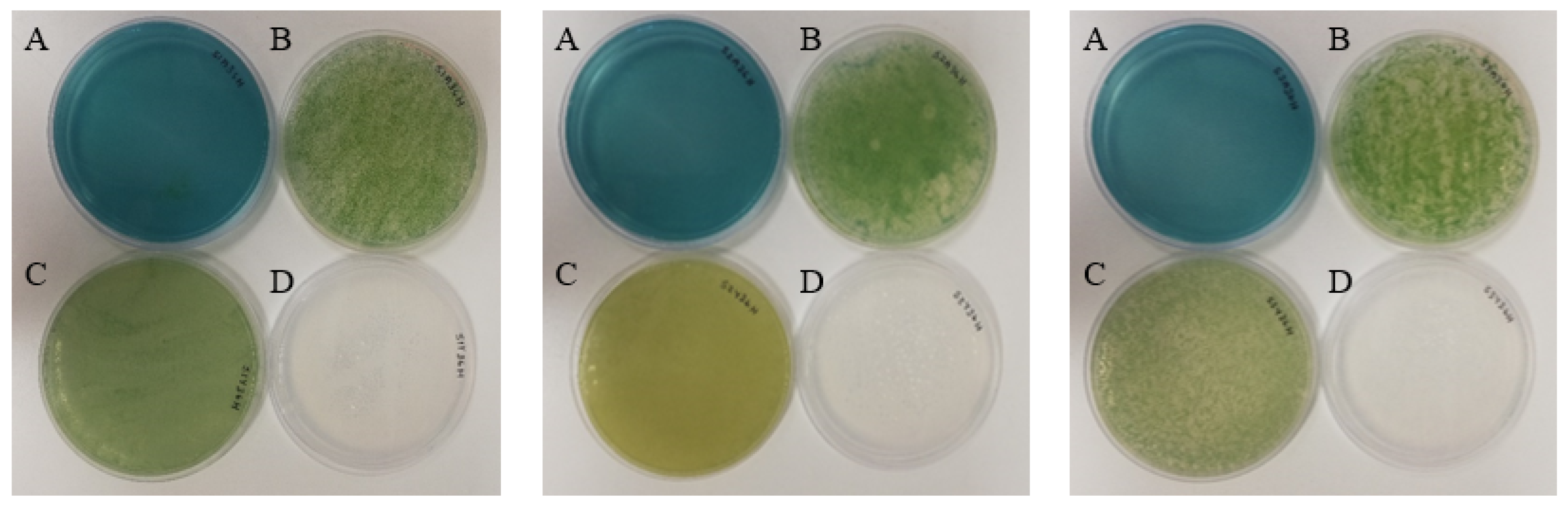 Fermentation 07 00206 g006