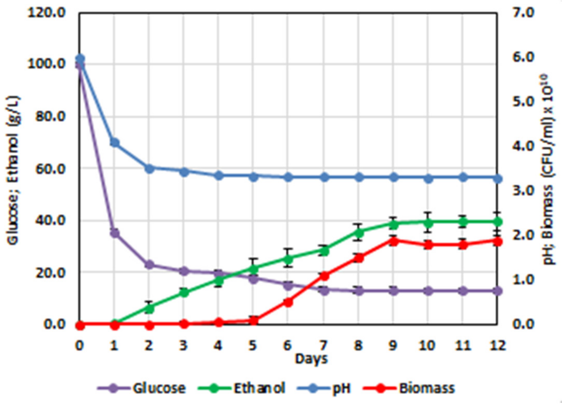 Fermentation 07 00212 g002