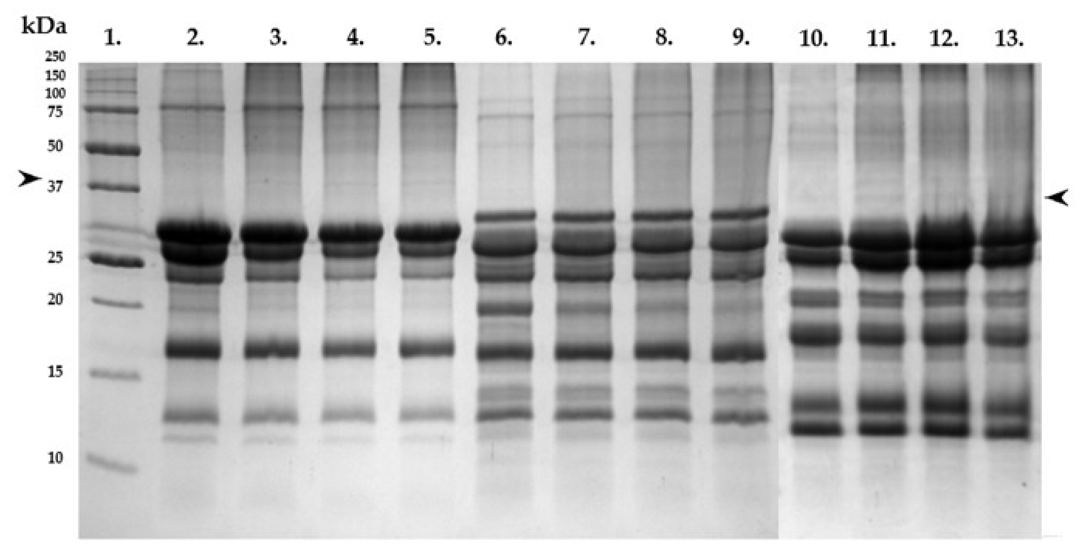 Fermentation 07 00214 g004