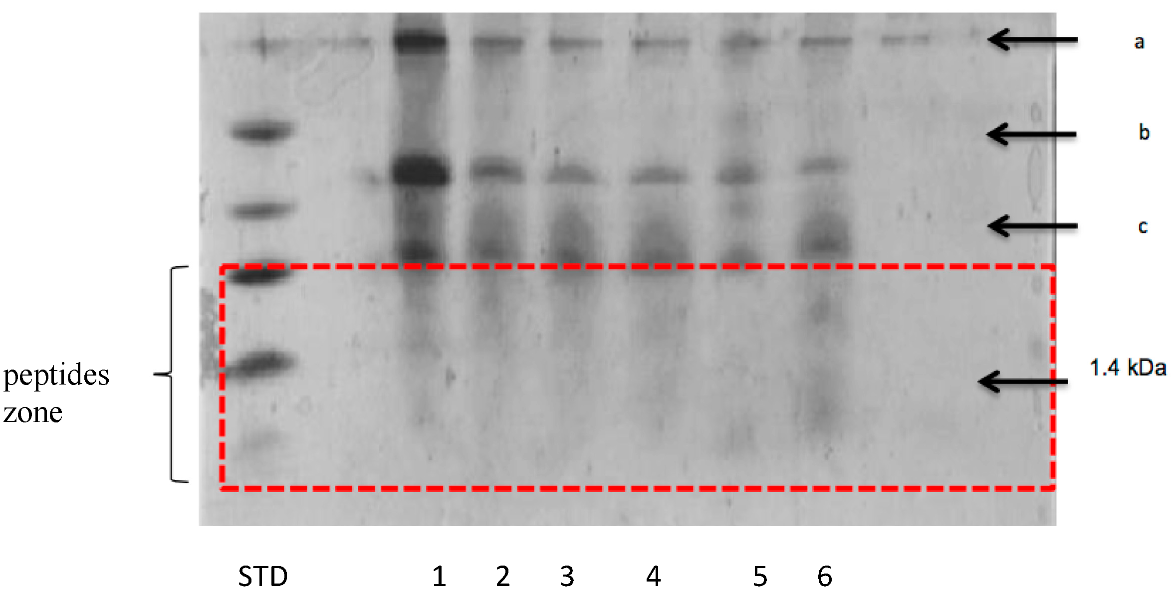 Fermentation 07 00215 g001 550