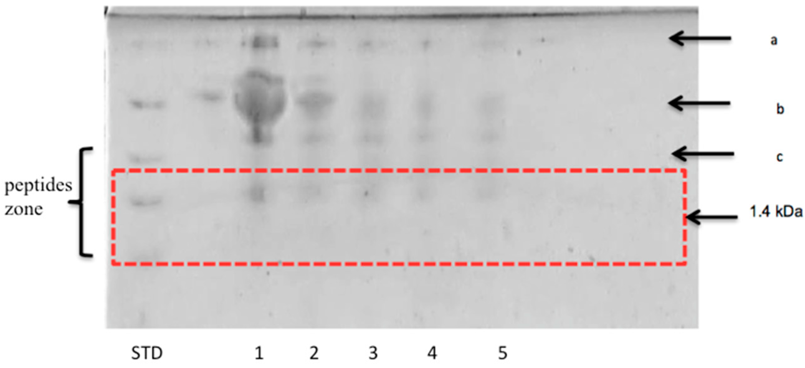 Fermentation 07 00215 g002 550