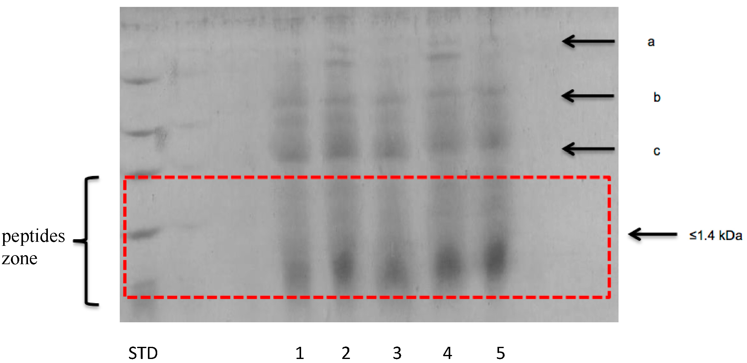 Fermentation 07 00215 g003 550