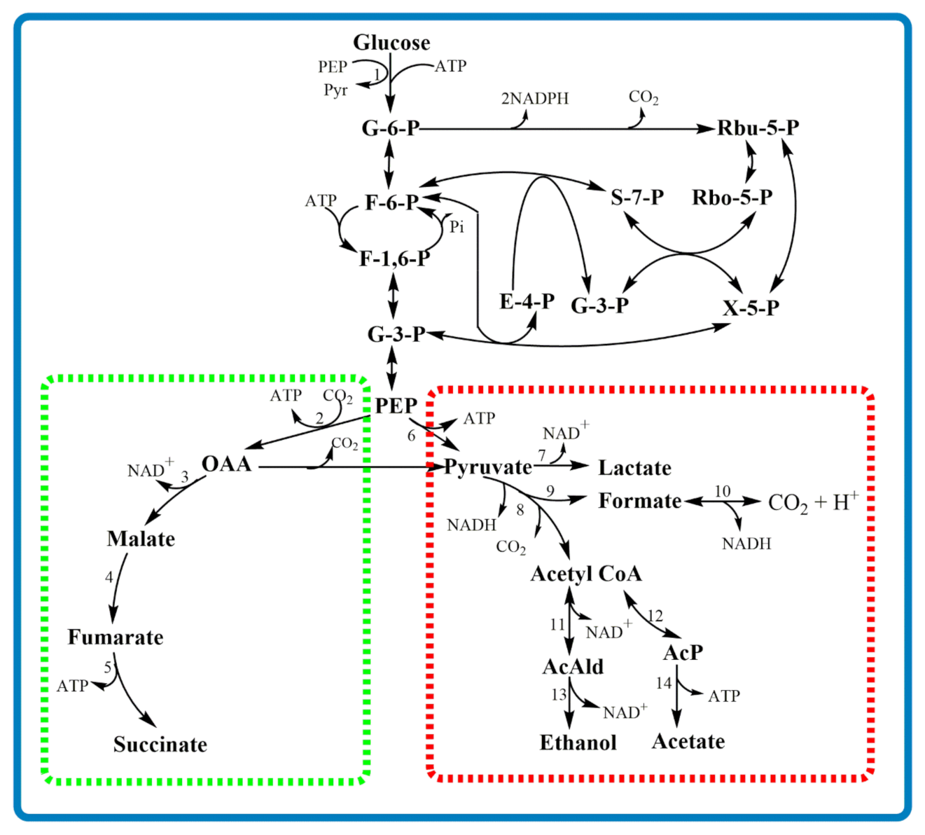 Fermentation 07 00220 g004
