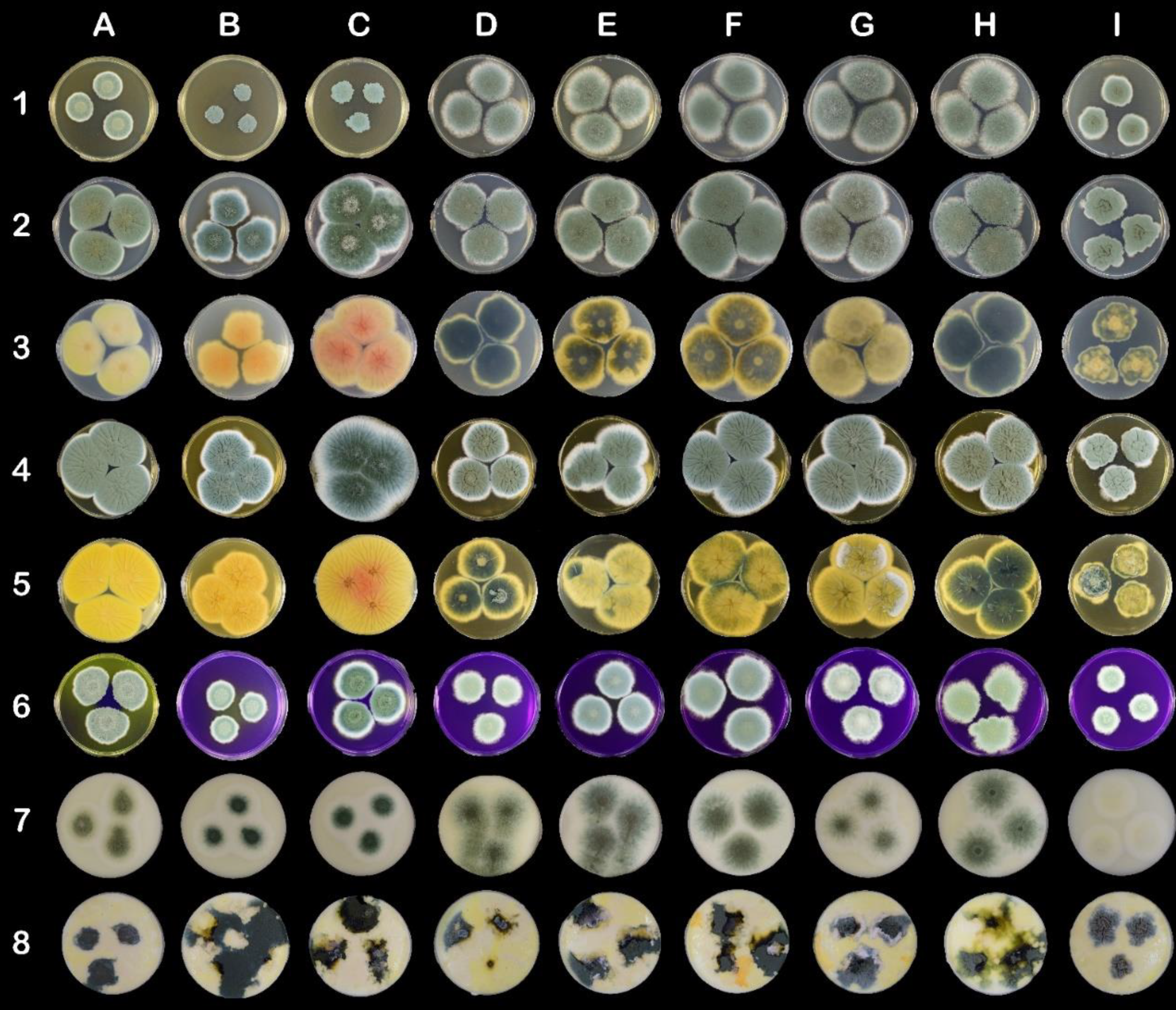 Fermentation 07 00222 g002