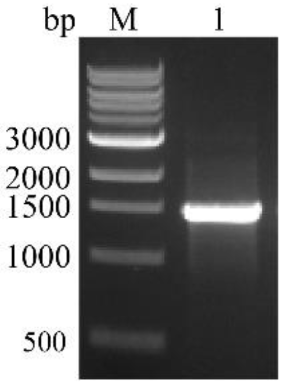 Fermentation 07 00227 g001