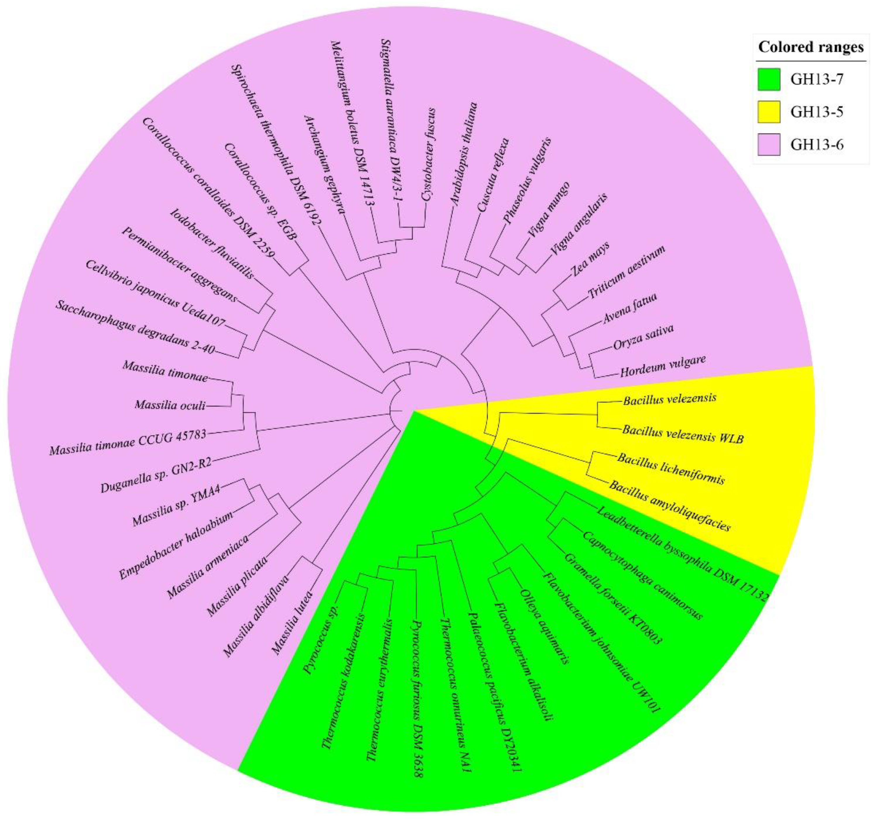 Fermentation 07 00227 g005