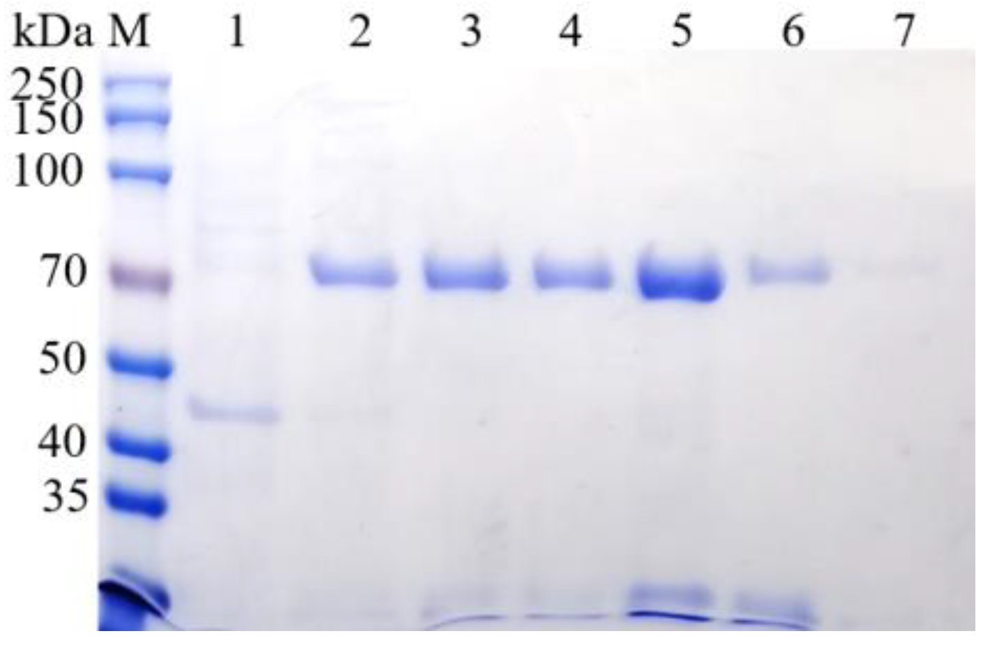 Fermentation 07 00227 g010