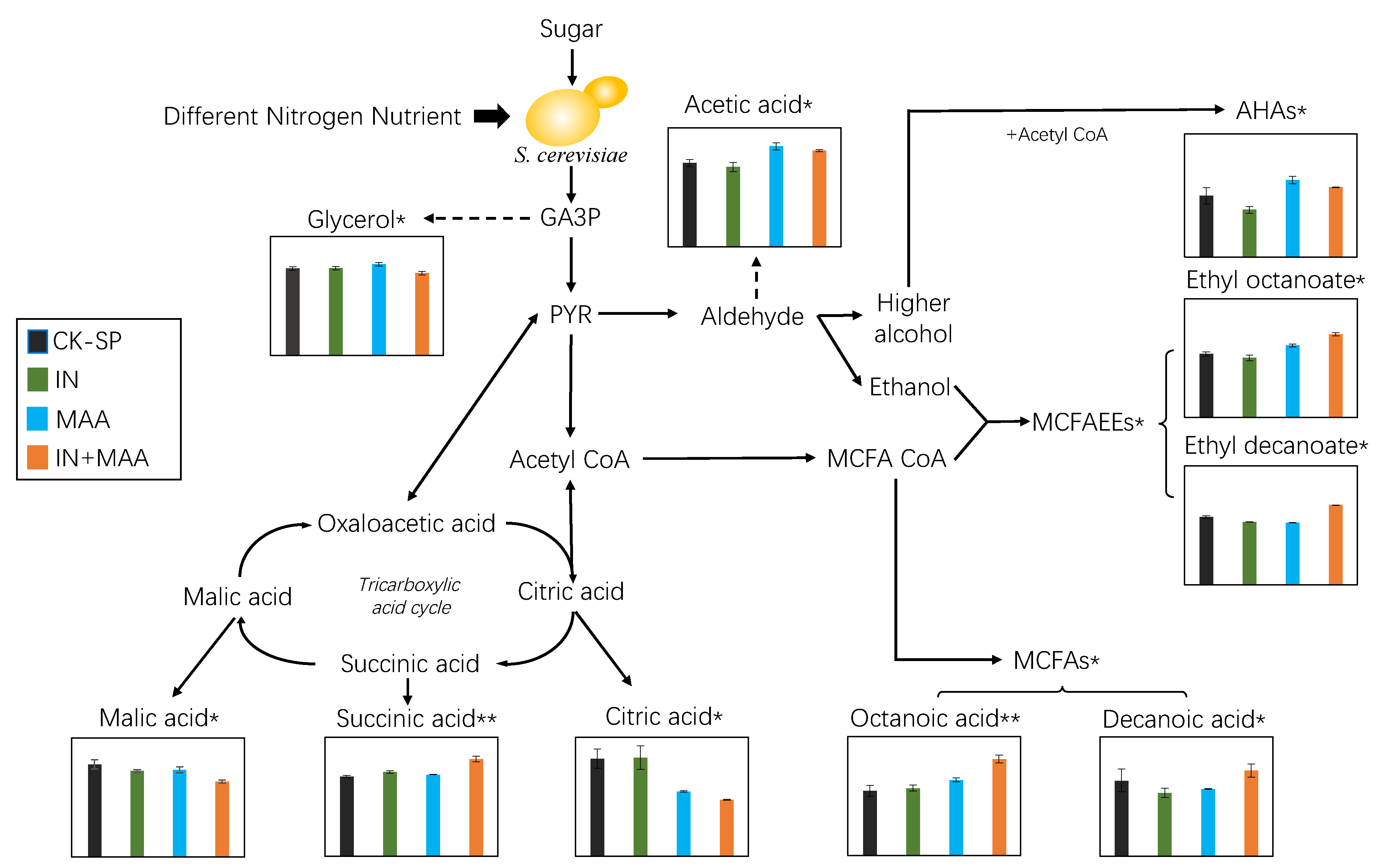Fermentation 07 00231 g003