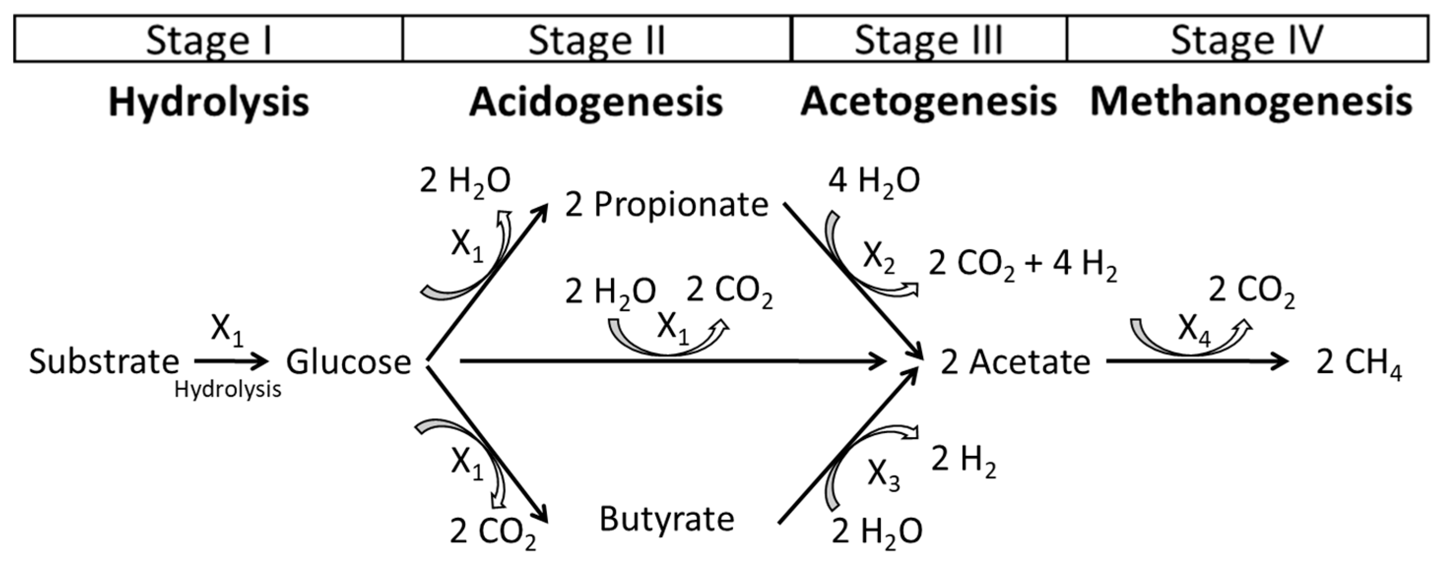 Fermentation 07 00237 g001 550