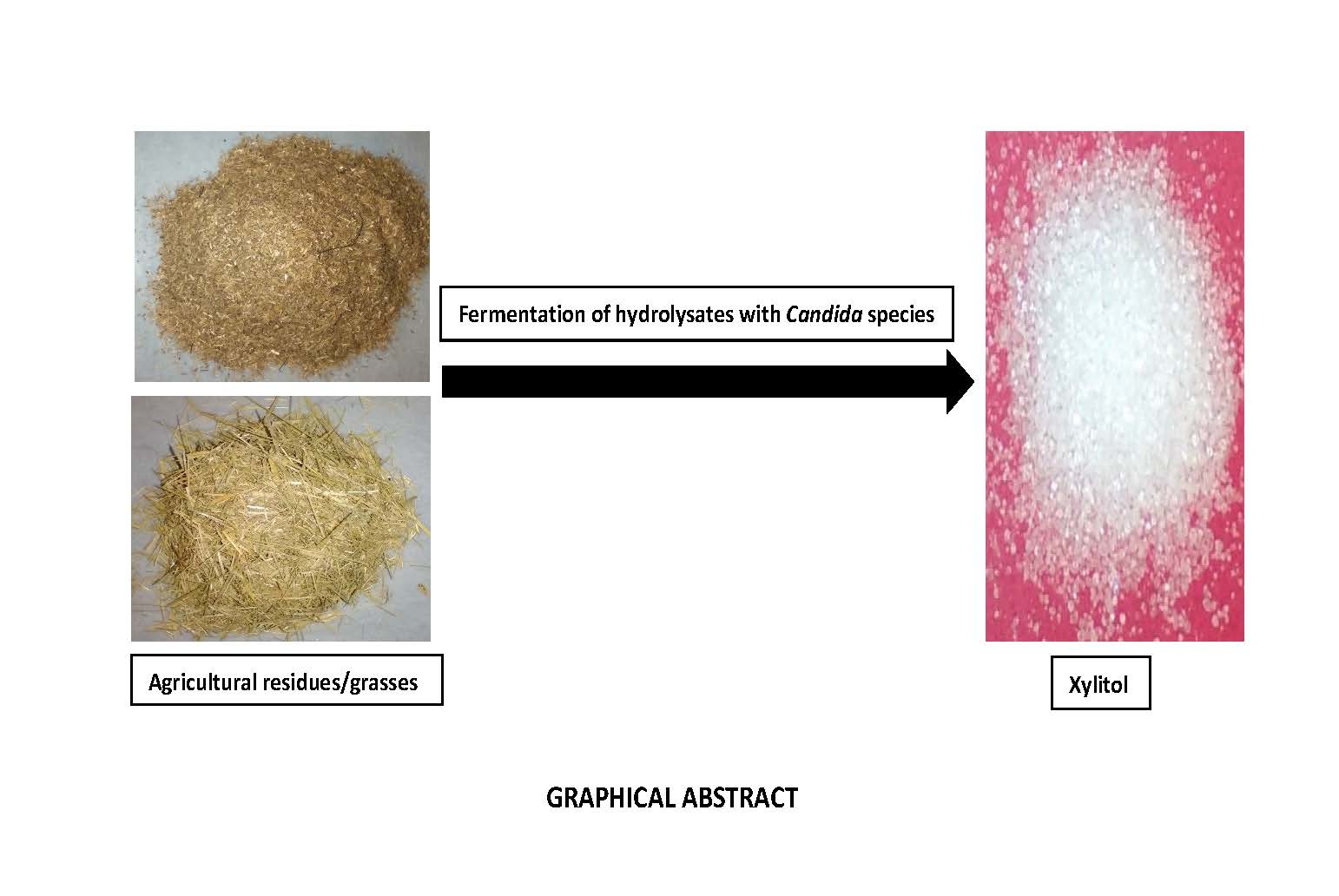 Fermentation Free FullText Xylitol Production by Candida Species