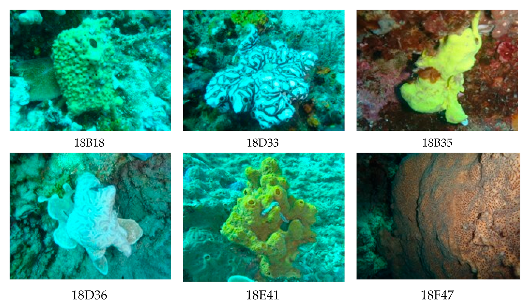 Fermentation 07 00247 g001 550