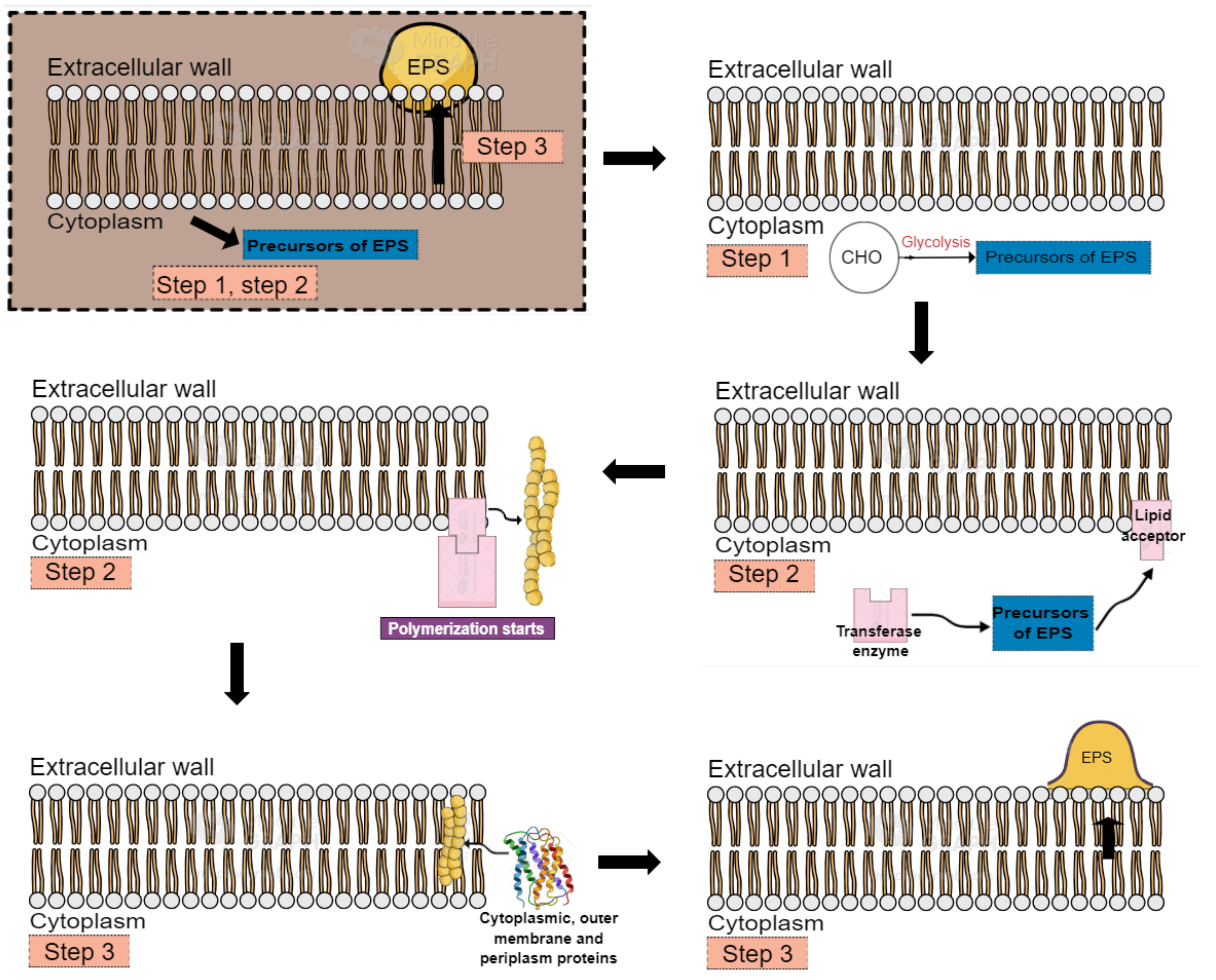 Fermentation 07 00249 g002