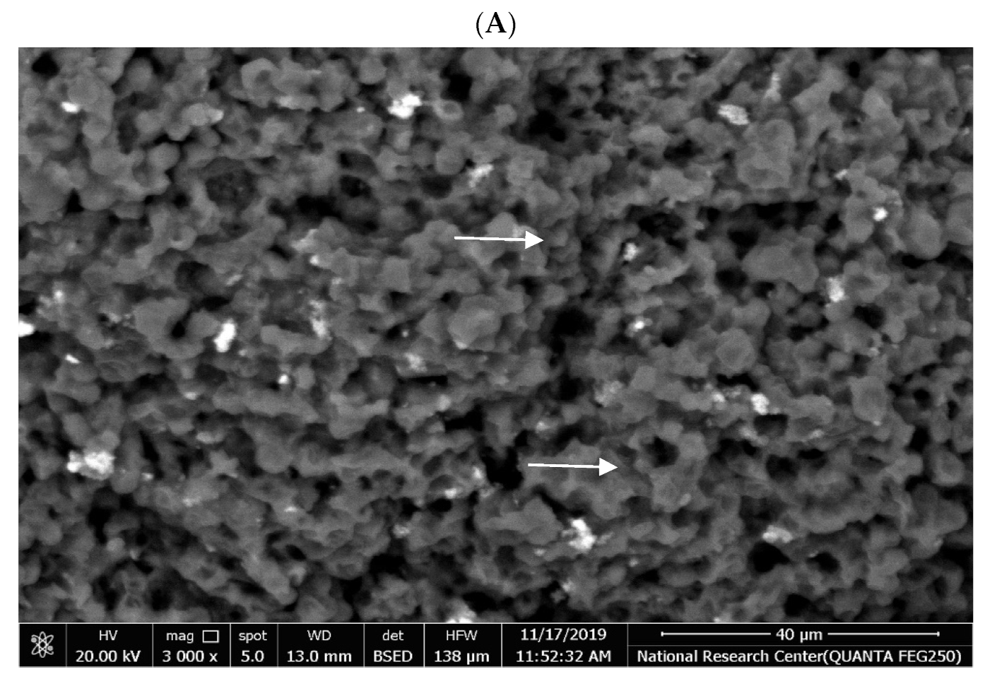 Fermentation 07 00250 g004a 550