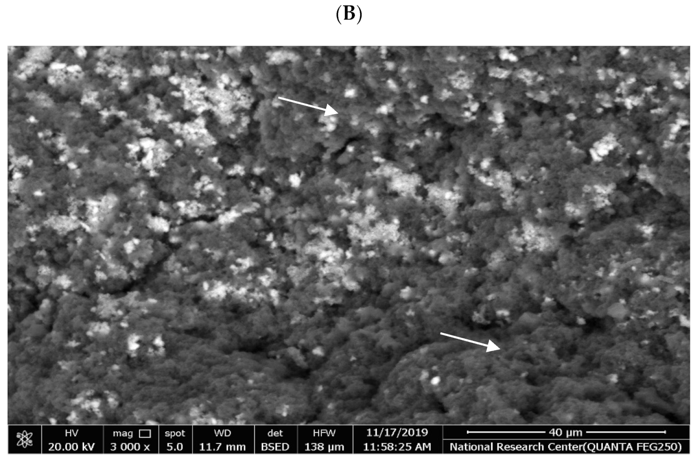 Fermentation 07 00250 g004b 550