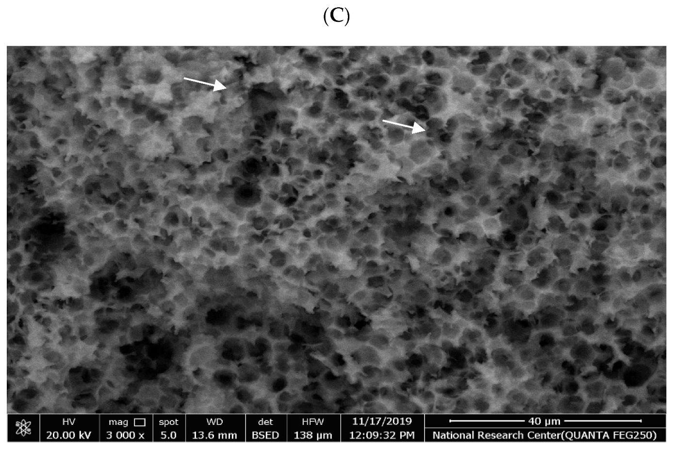 Fermentation 07 00250 g004c 550