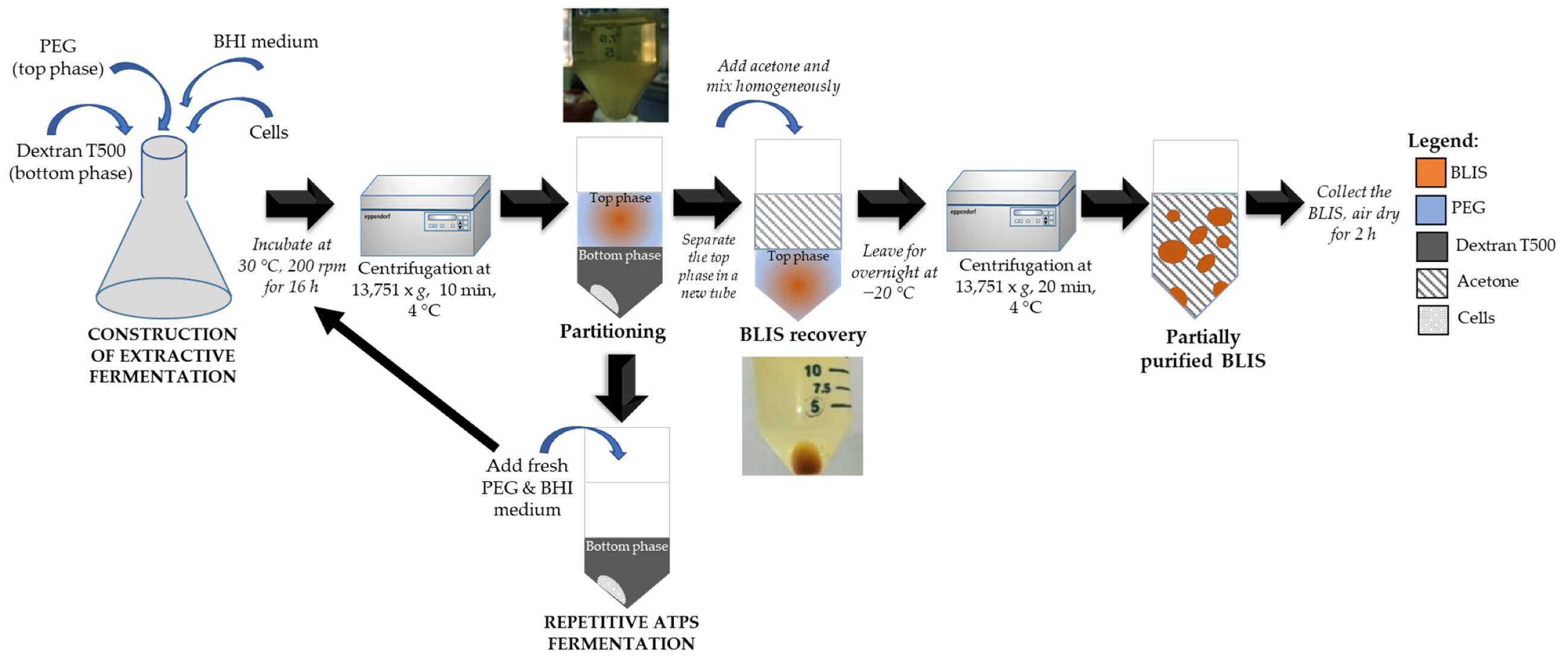 Fermentation 07 00257 g001 Fermentation 07 00257 g001