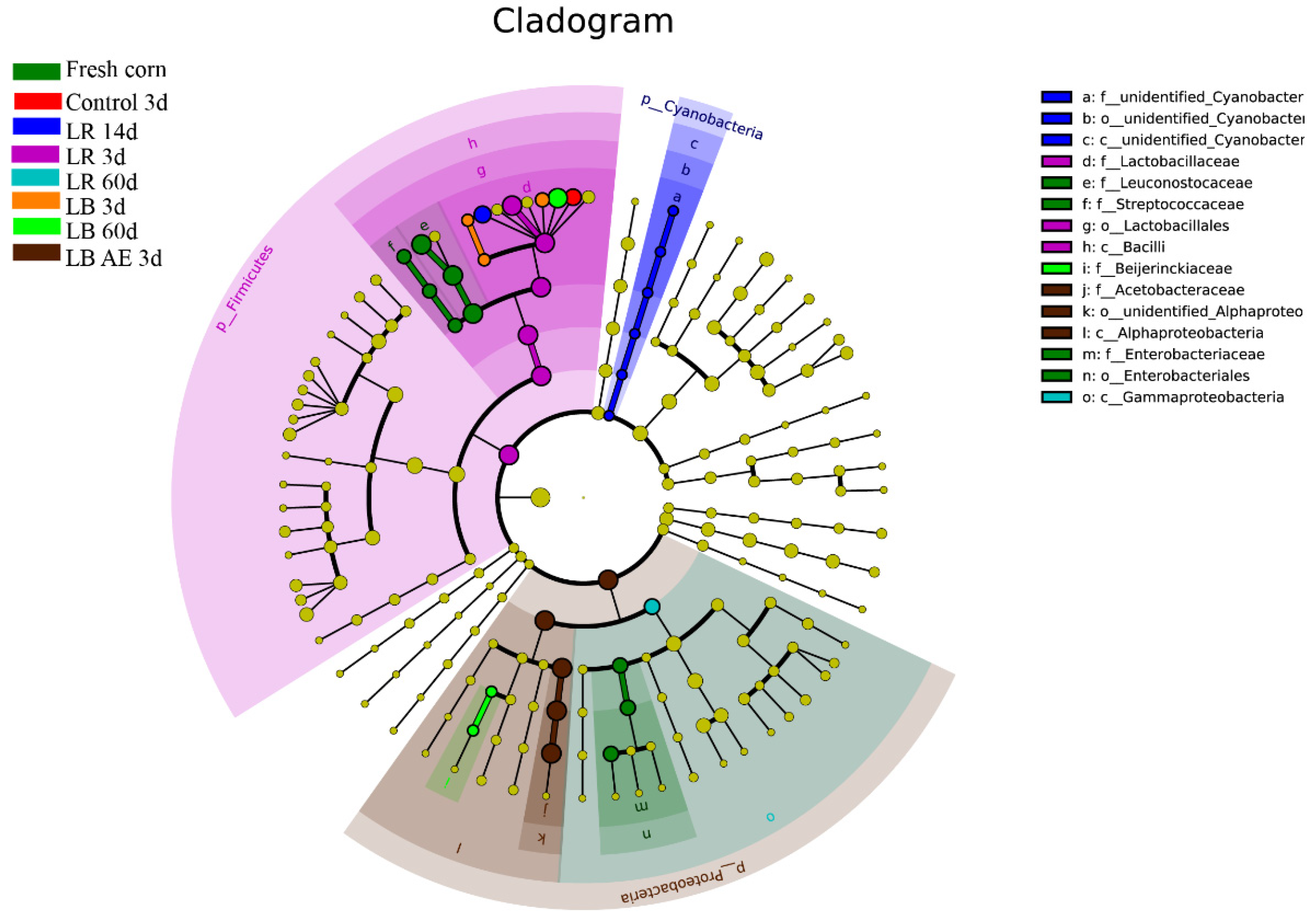 Fermentation Free Full Text Succession Of Microbial Communities Of Corn Silage Inoculated With Heterofermentative Lactic Acid Bacteria From Ensiling To Aerobic Exposure Html