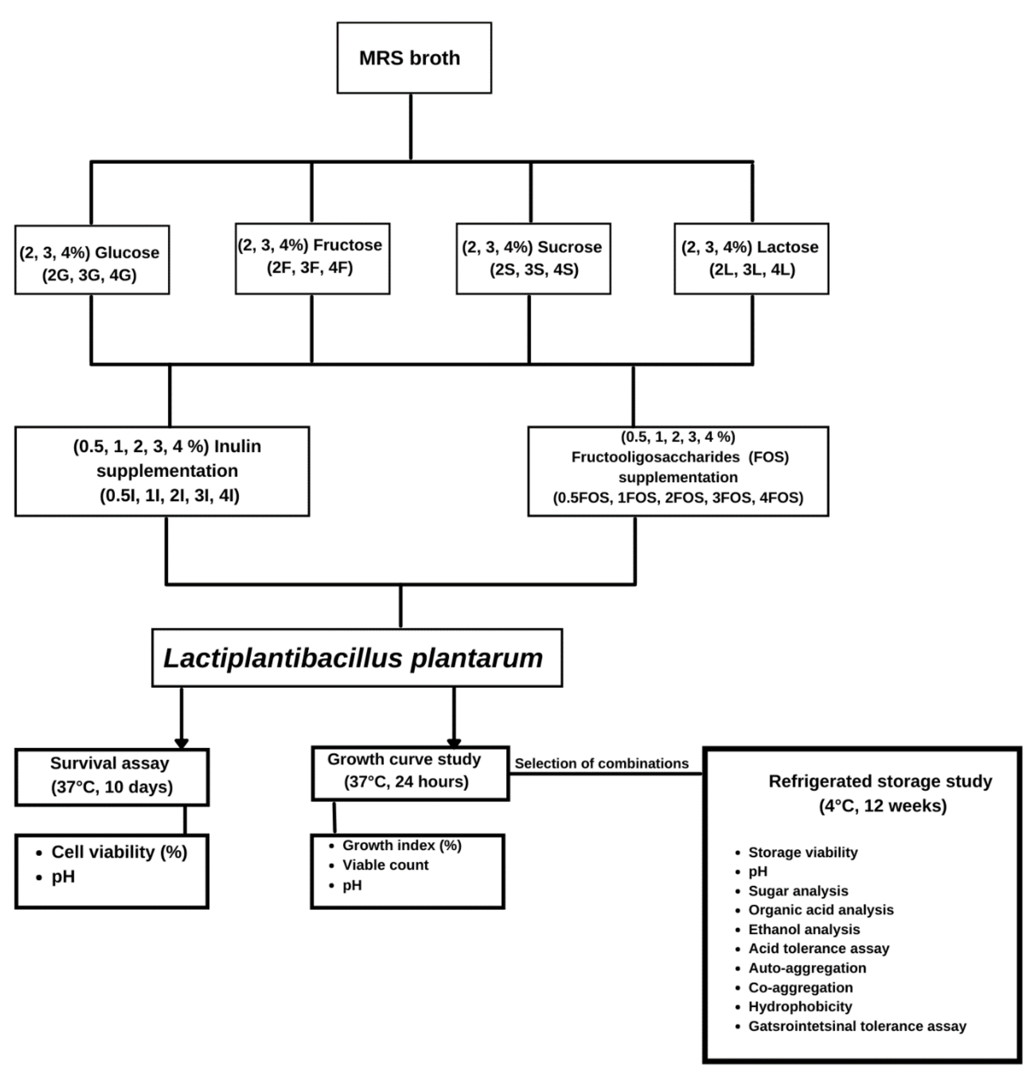 Fermentation 07 00259 g001