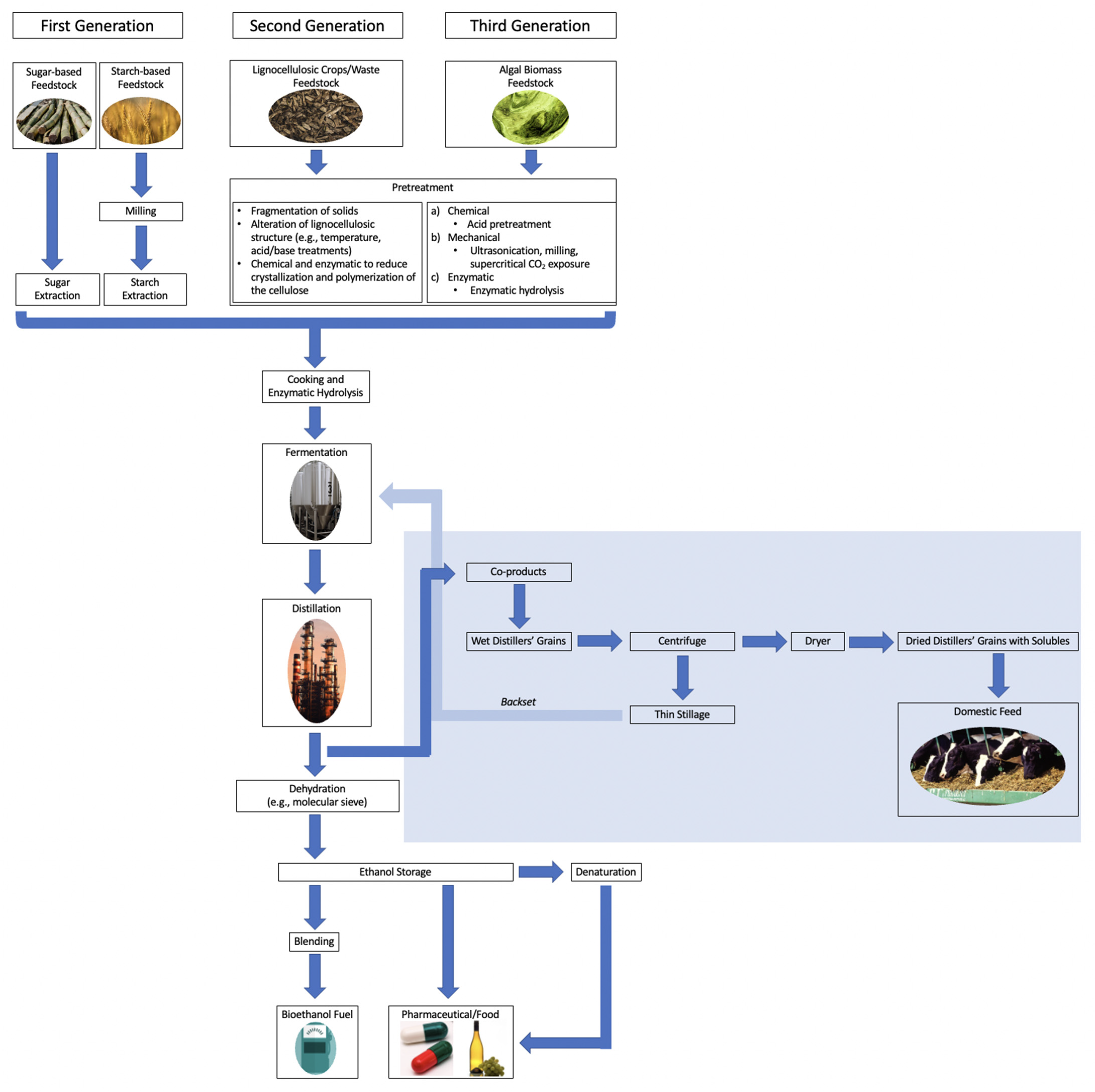 Fermentation, Free Full-Text