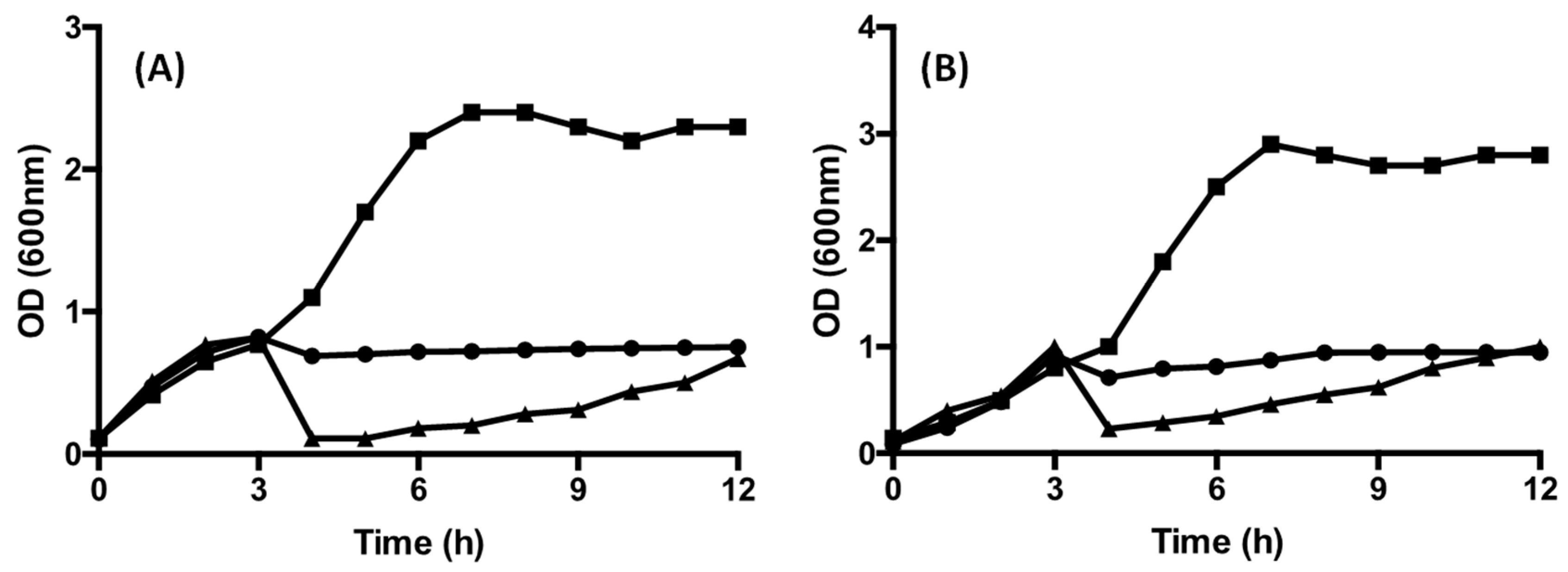 Fermentation 07 00271 g003