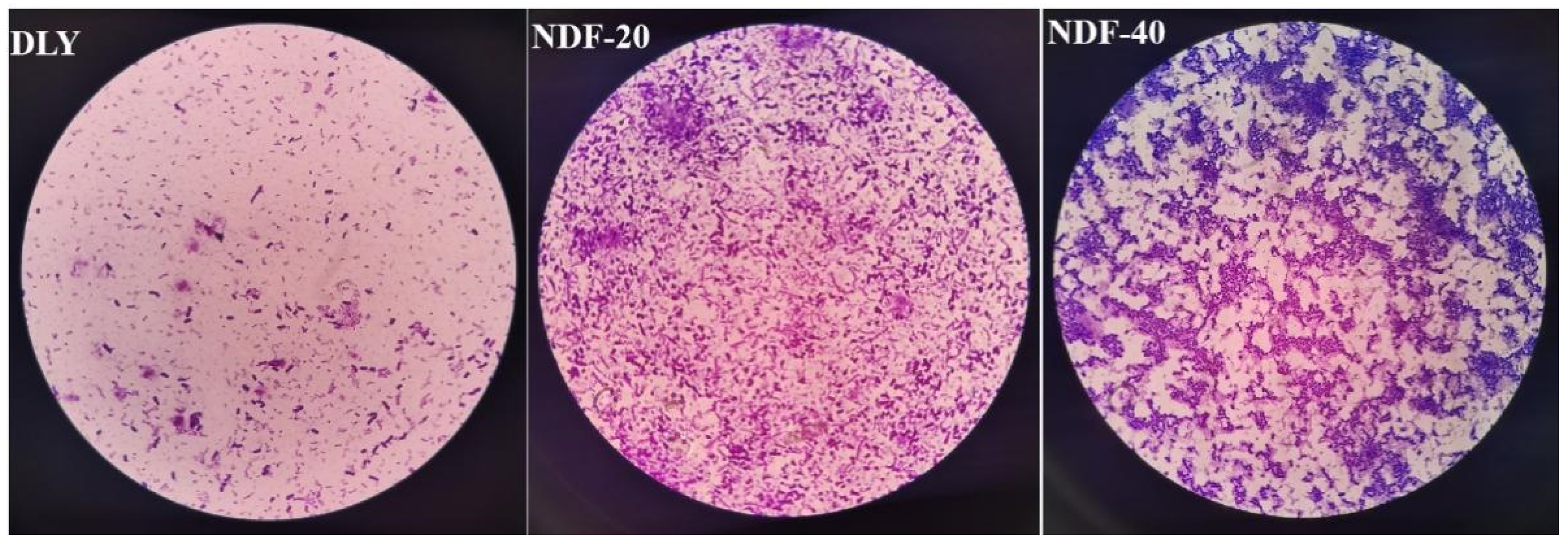 Fermentation 07 00275 g003 550