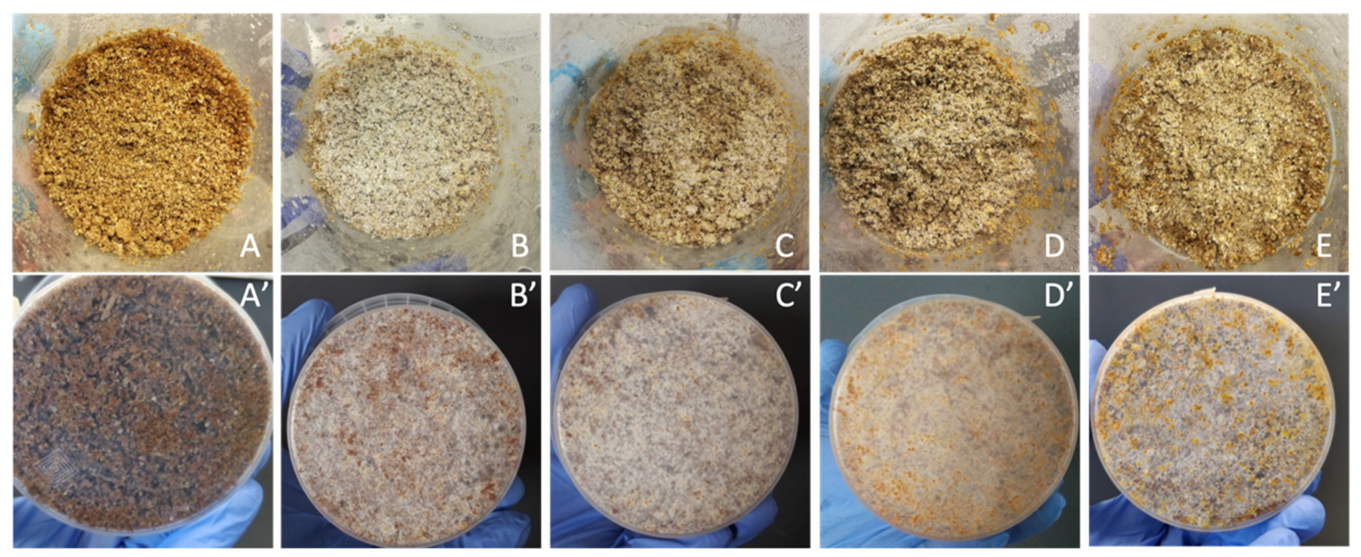 Fermentation 07 00279 g001