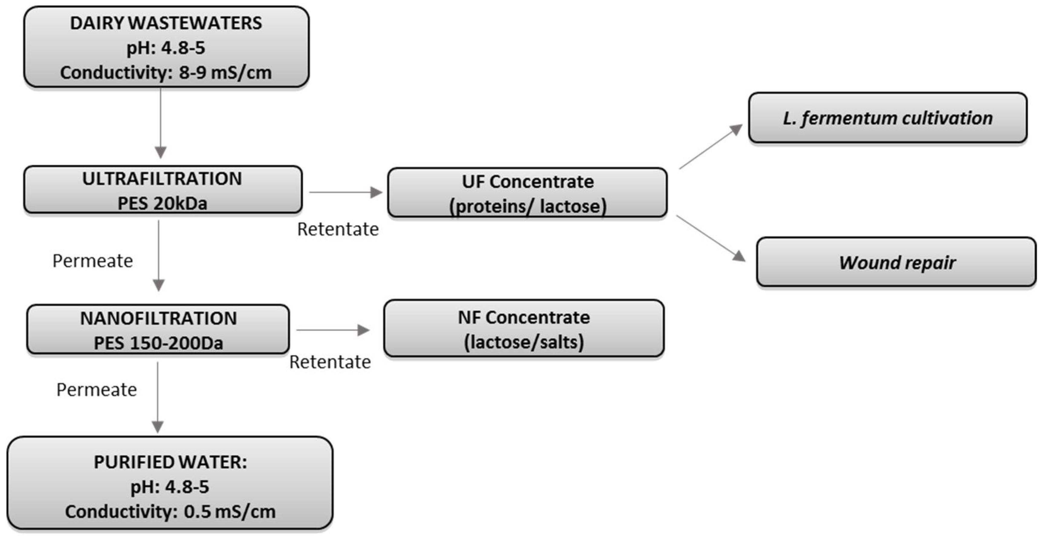 Fermentation 07 00281 g001