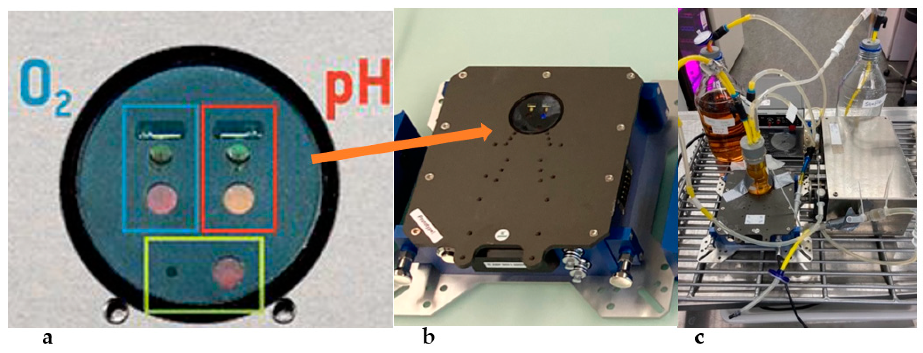 Fermentation 07 00282 g001 Fermentation 07 00282 g001