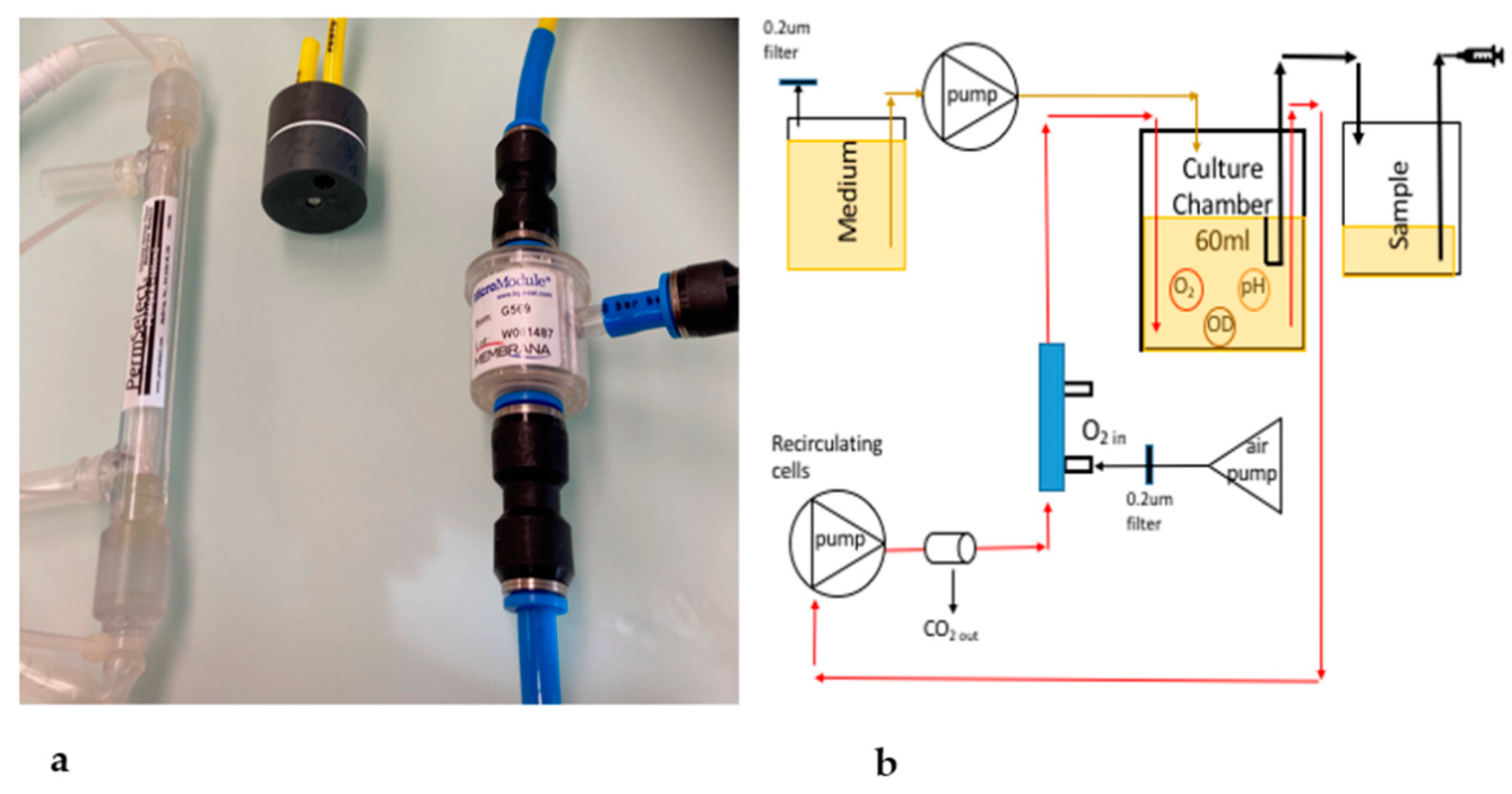 Fermentation 07 00282 g002 Fermentation 07 00282 g002