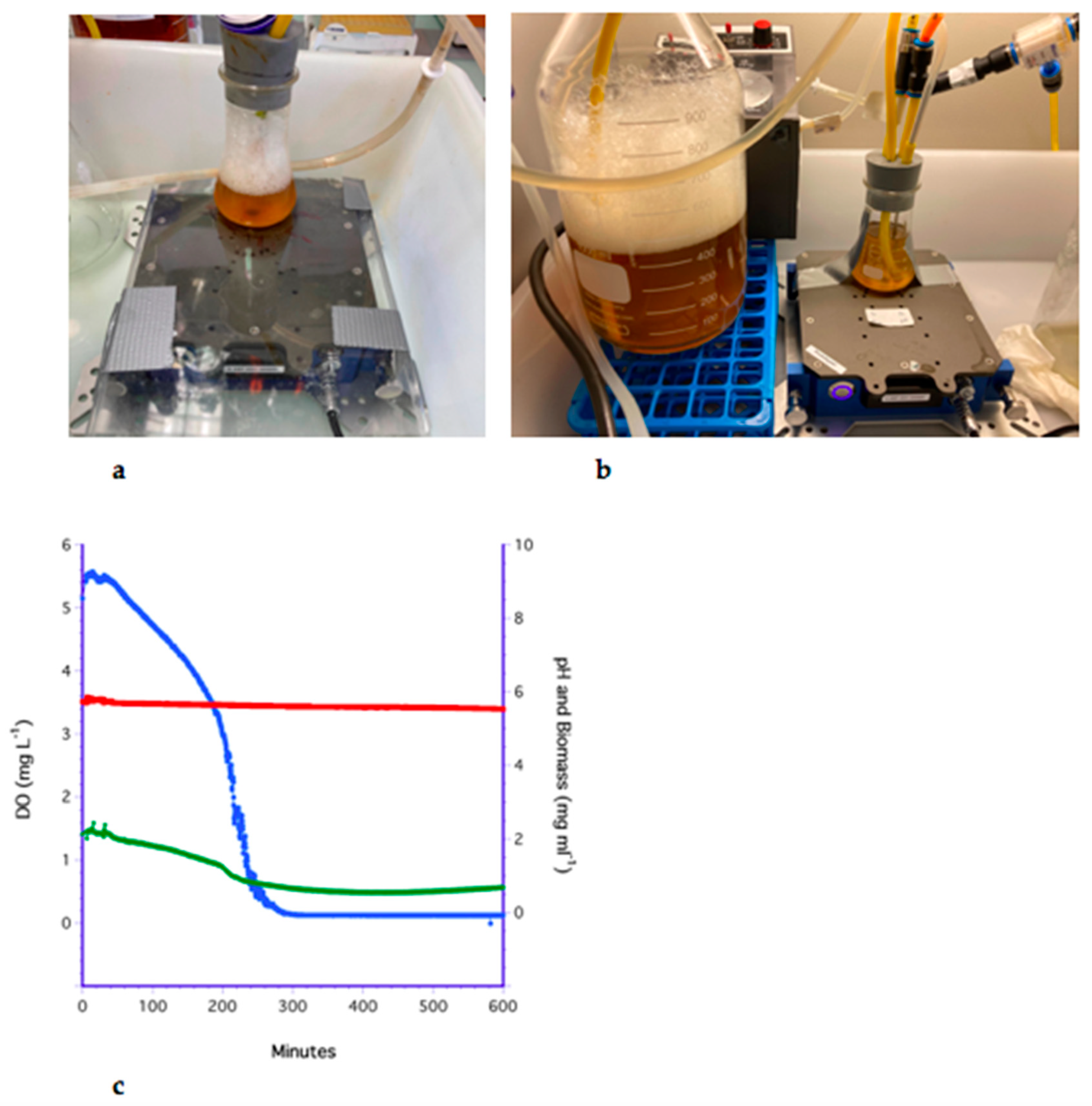 Fermentation 07 00282 g003 Fermentation 07 00282 g003