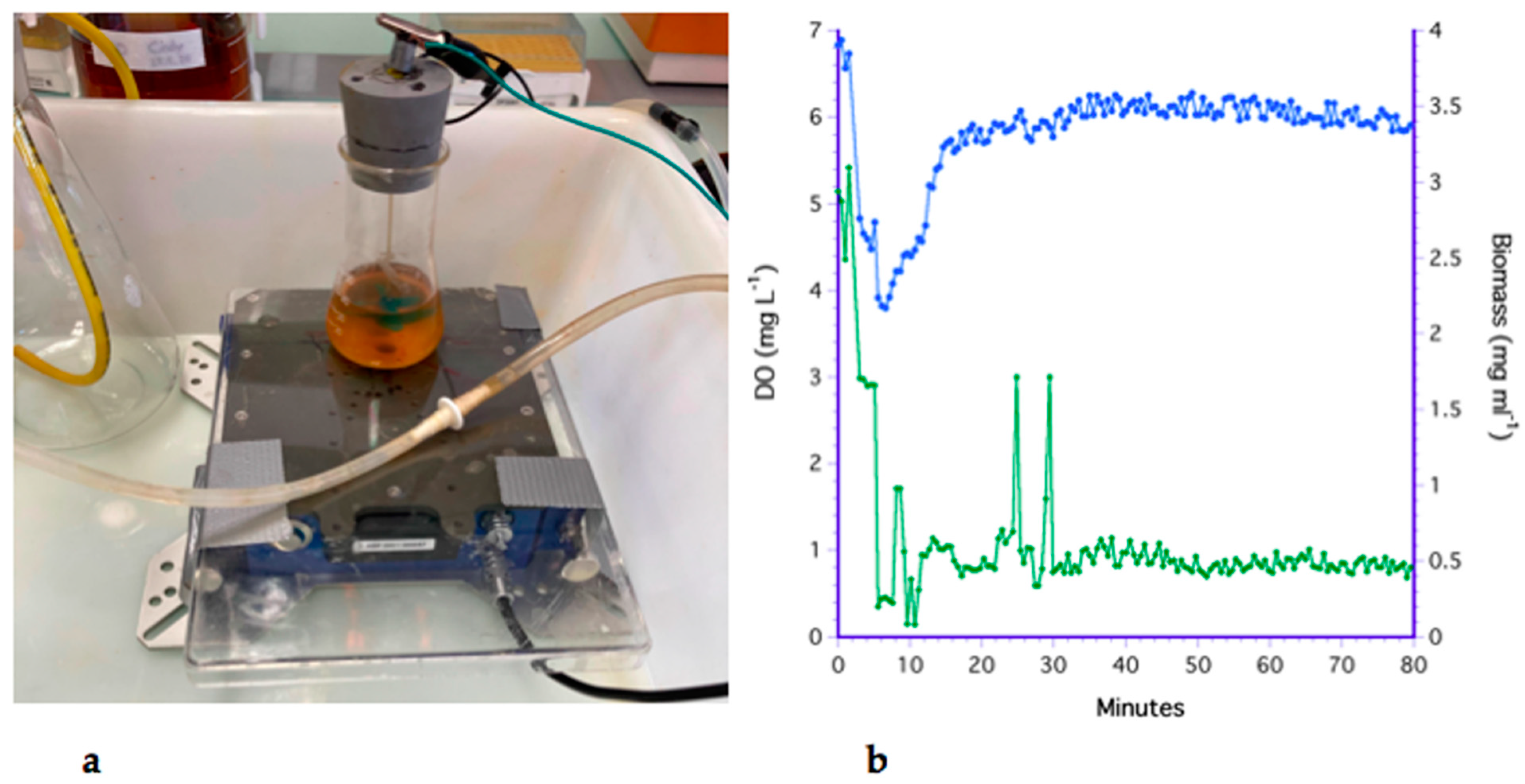 Fermentation 07 00282 g004 Fermentation 07 00282 g004