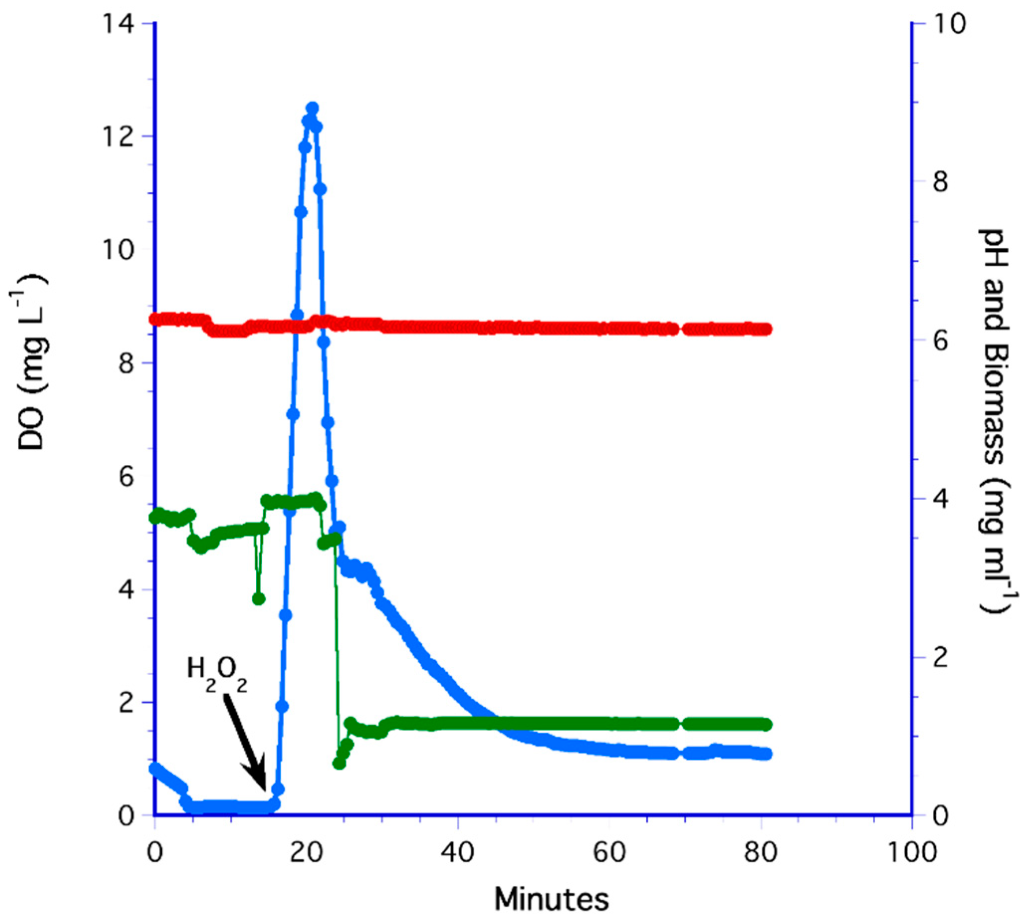 Fermentation 07 00282 g005 Fermentation 07 00282 g005