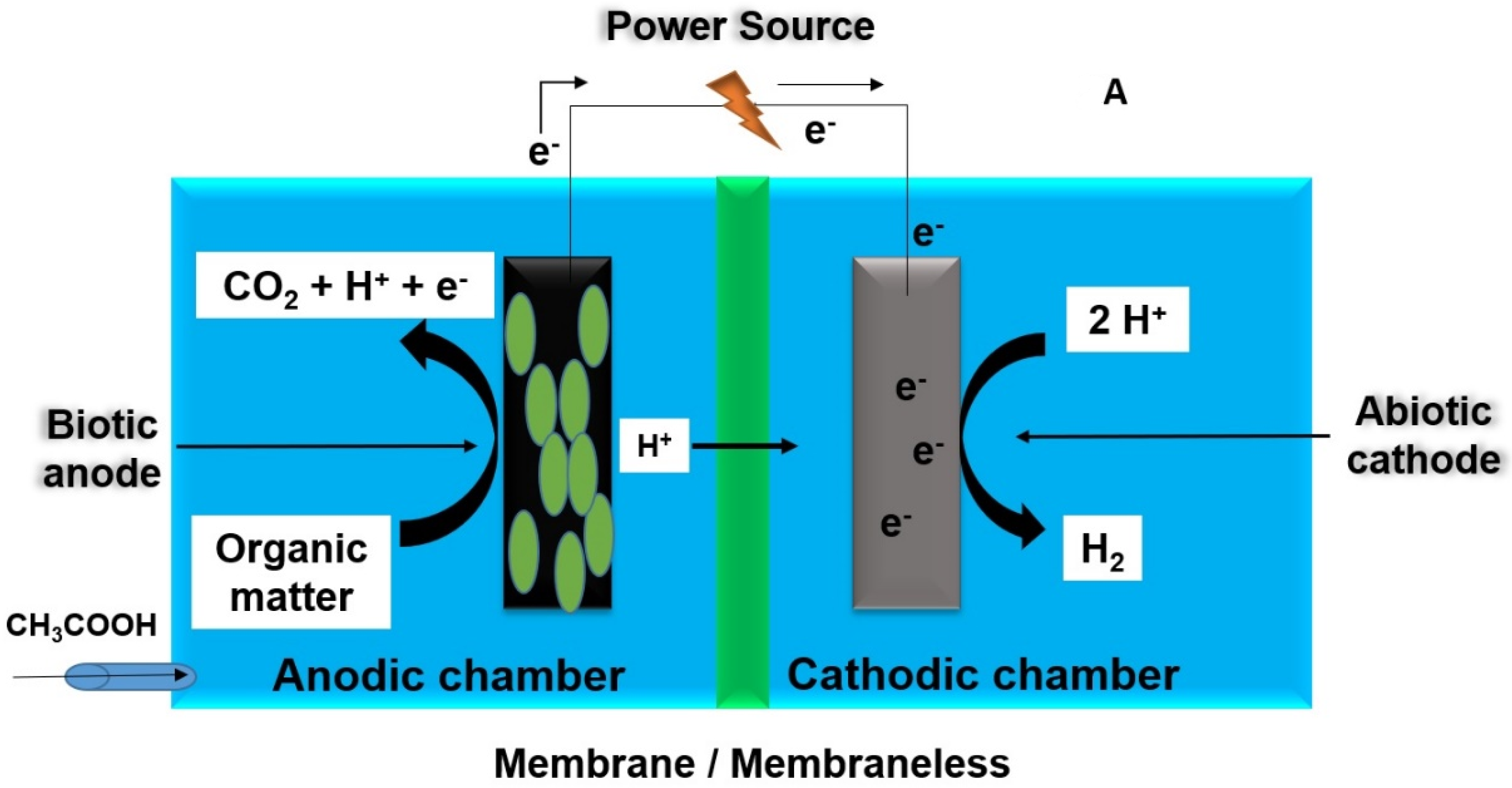 Fermentation 07 00291 g002a