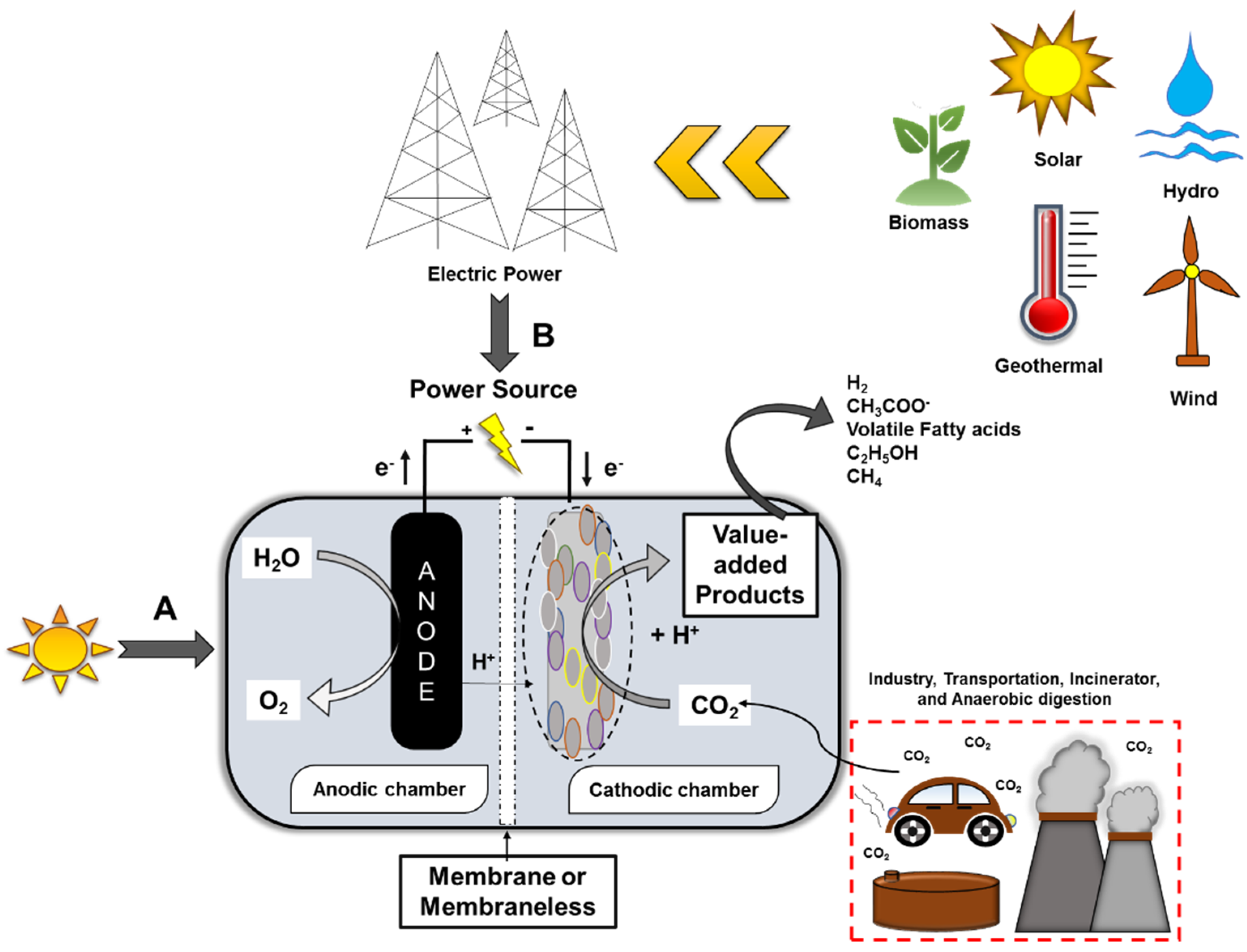 Fermentation 07 00291 g005