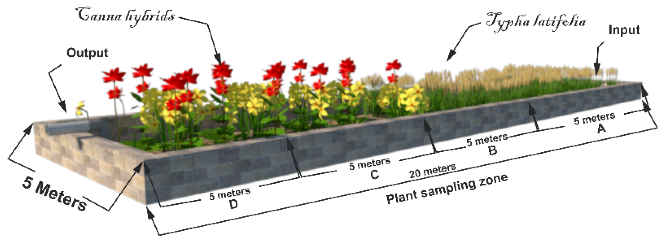 Fermentation 07 00296 g001 550