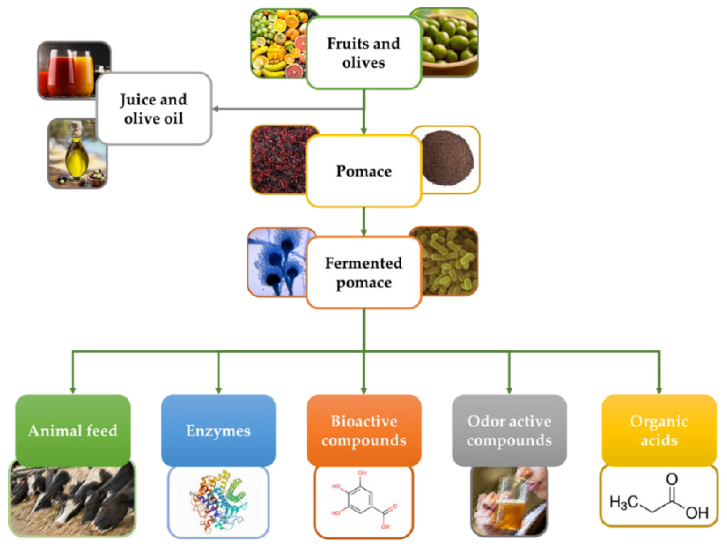 Fermentation | Free Full-Text | Strategies to Increase the Value of Pomaces  with Fermentation