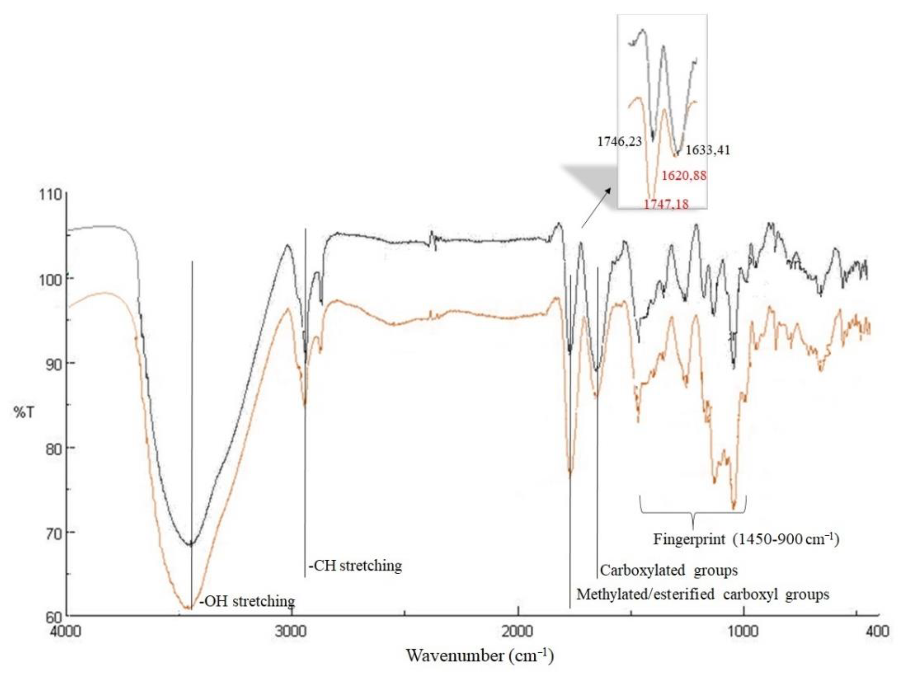 Fermentation 07 00305 g005 550