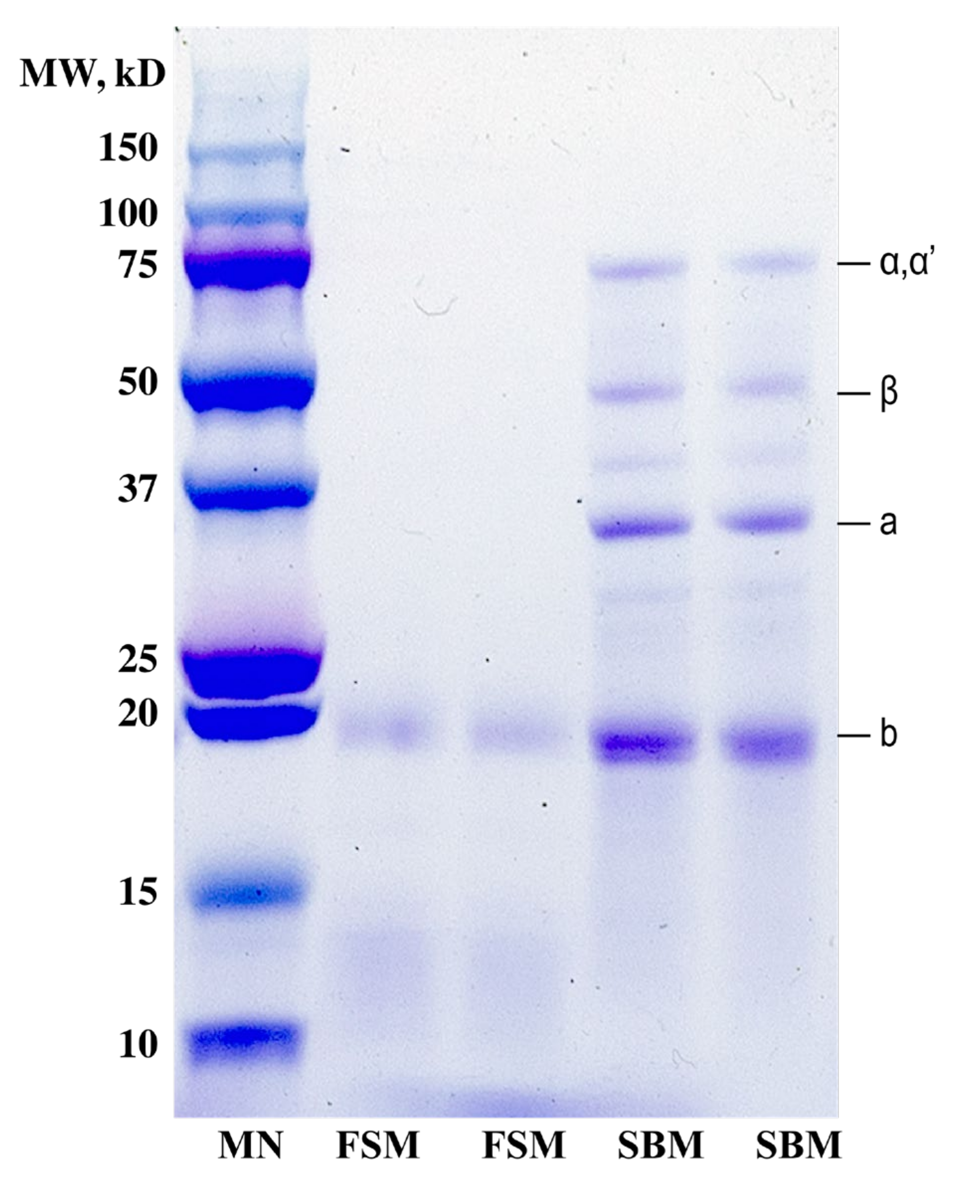 Fermentation 07 00306 g007