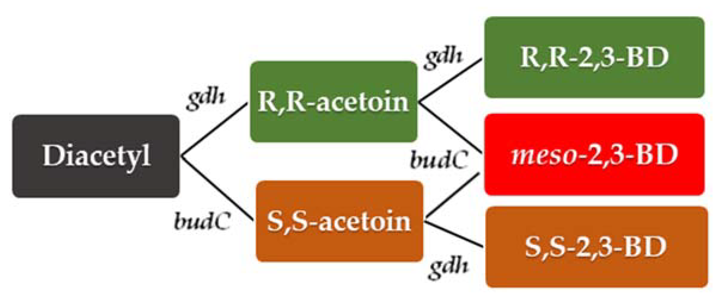Fermentation 07 00307 g004 Fermentation 07 00307 g004