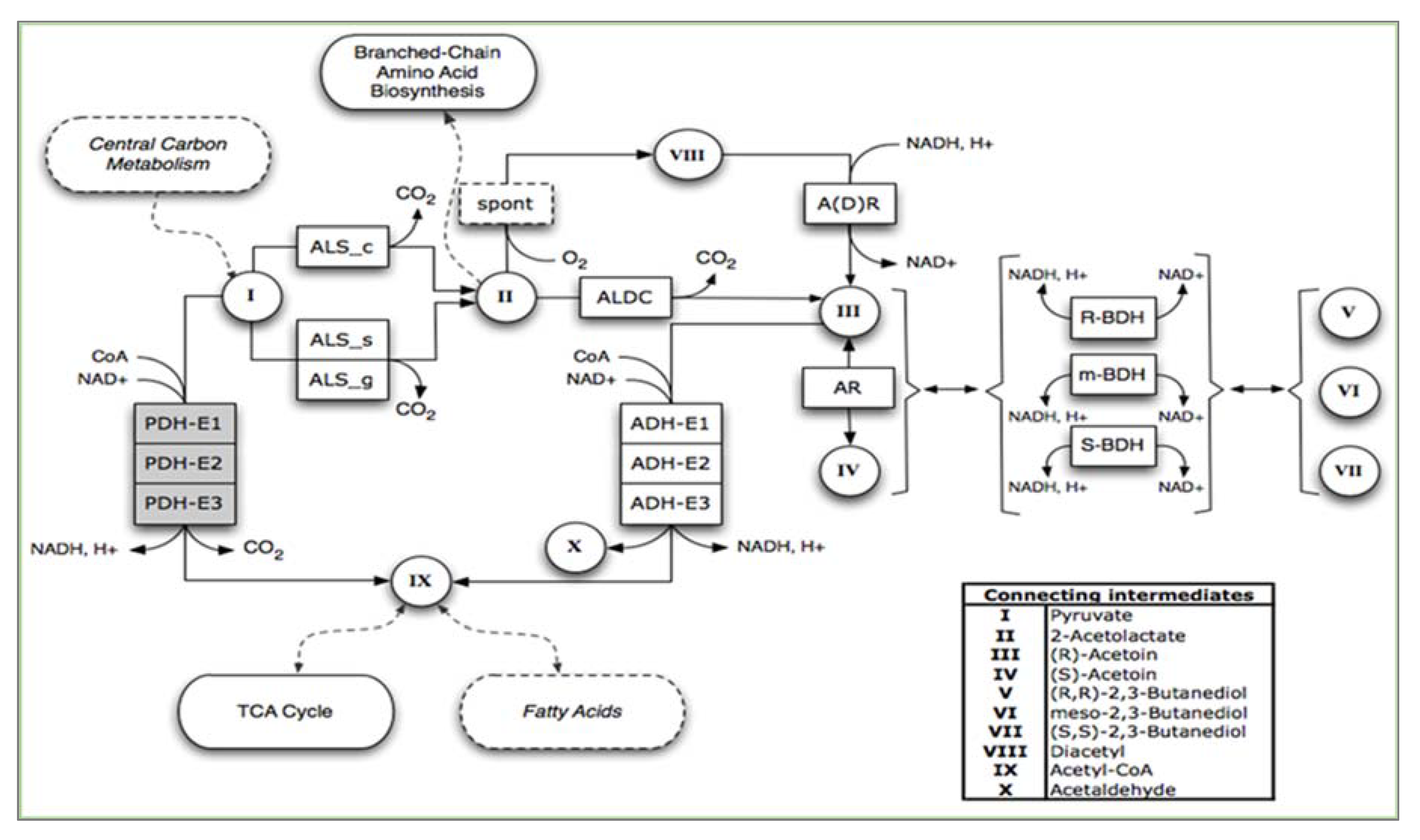 Fermentation 07 00307 g005 Fermentation 07 00307 g005