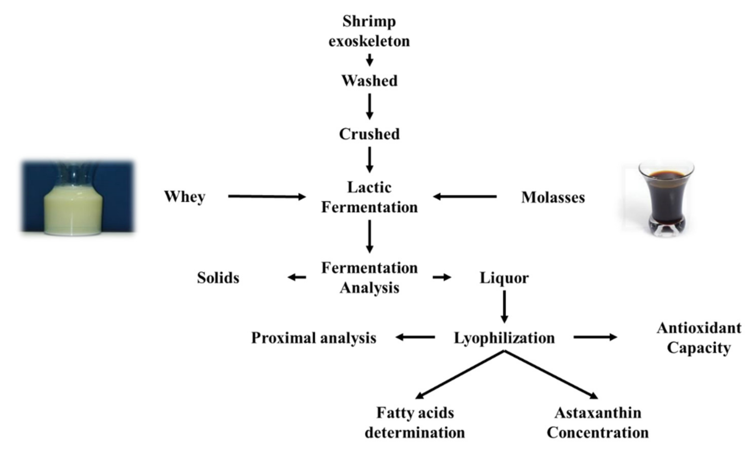 Fermentation 07 00312 g001 Fermentation 07 00312 g001