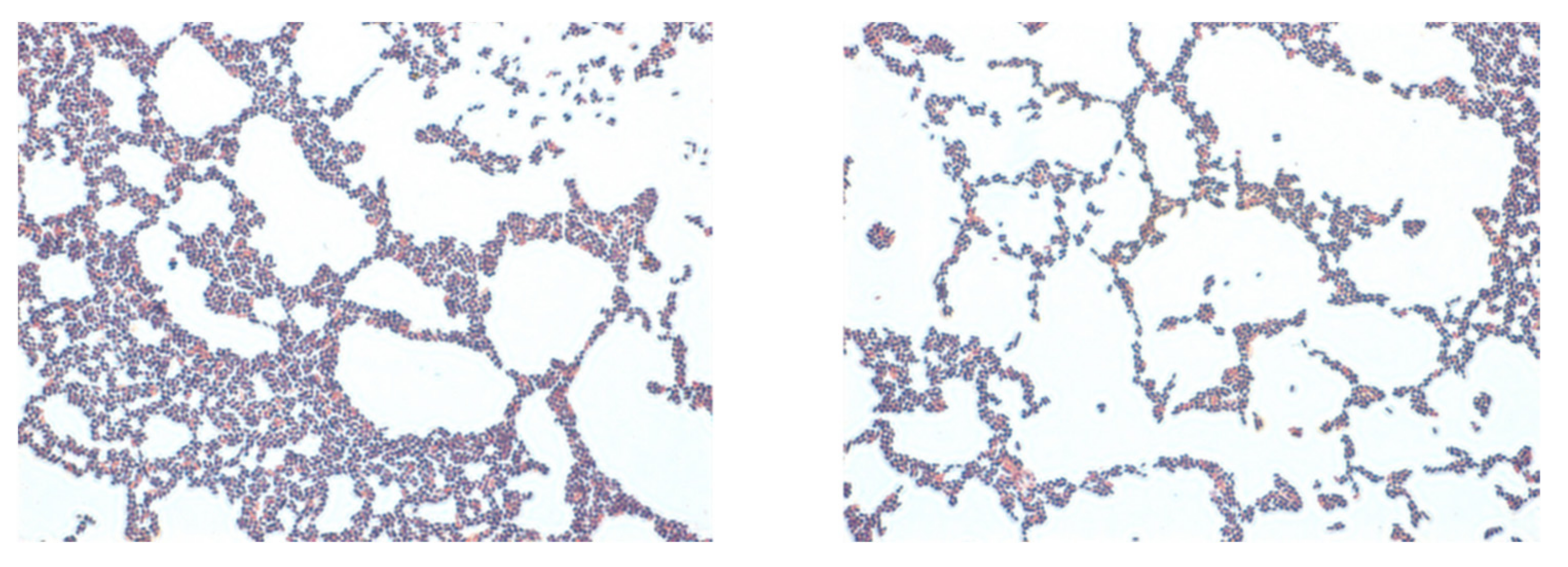 Fermentation 07 00312 g003 Fermentation 07 00312 g003