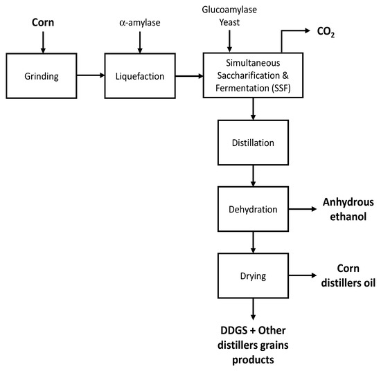 Fermentation Free FullText Recent Developments and Current Status