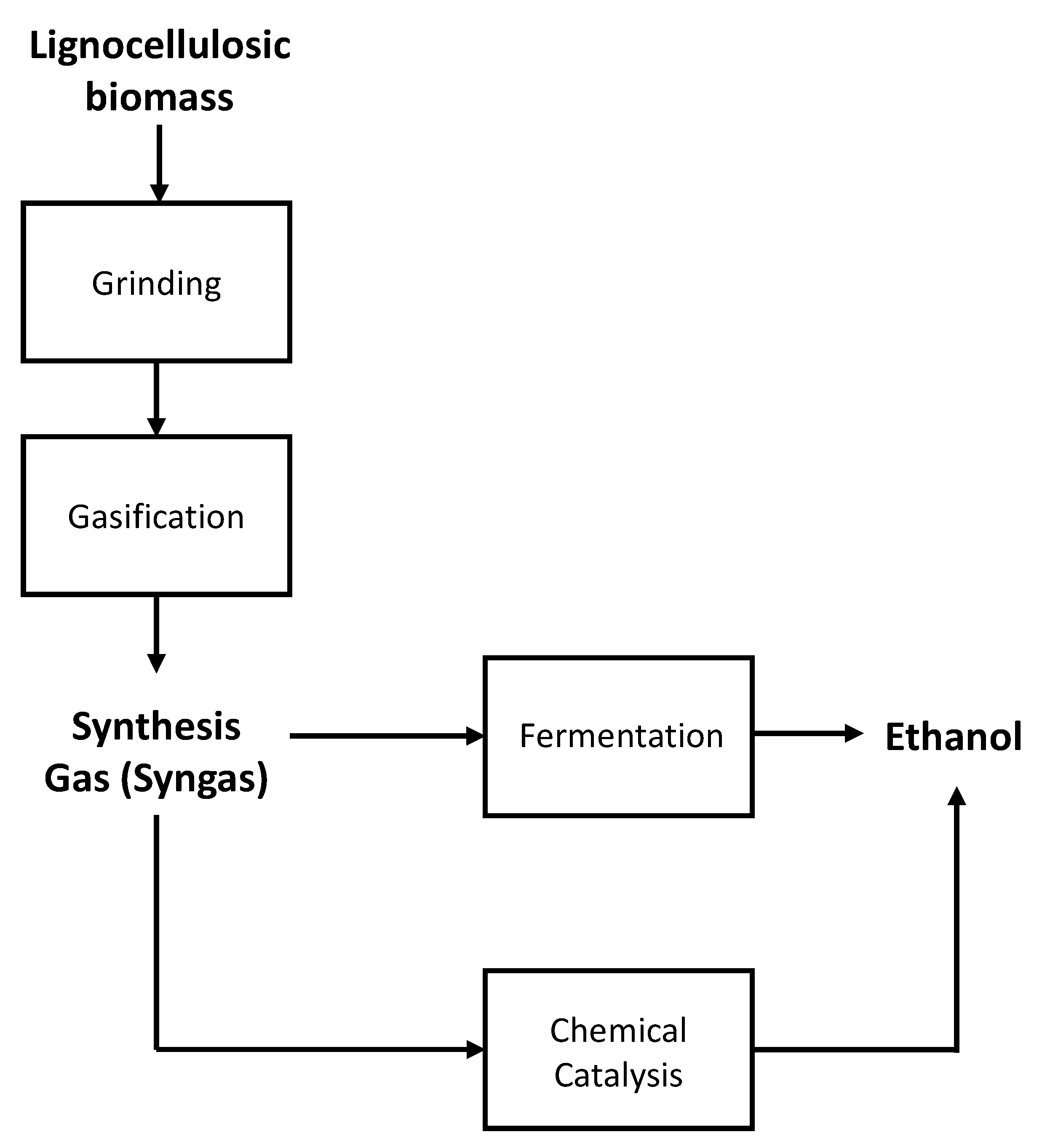 Fermentation 07 00314 g004 550